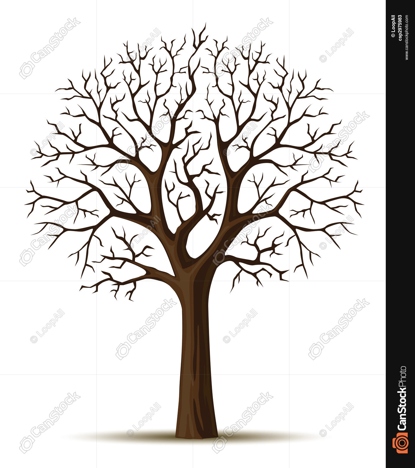 Silhouette of tree branches cron isolated on the white... drawings ...