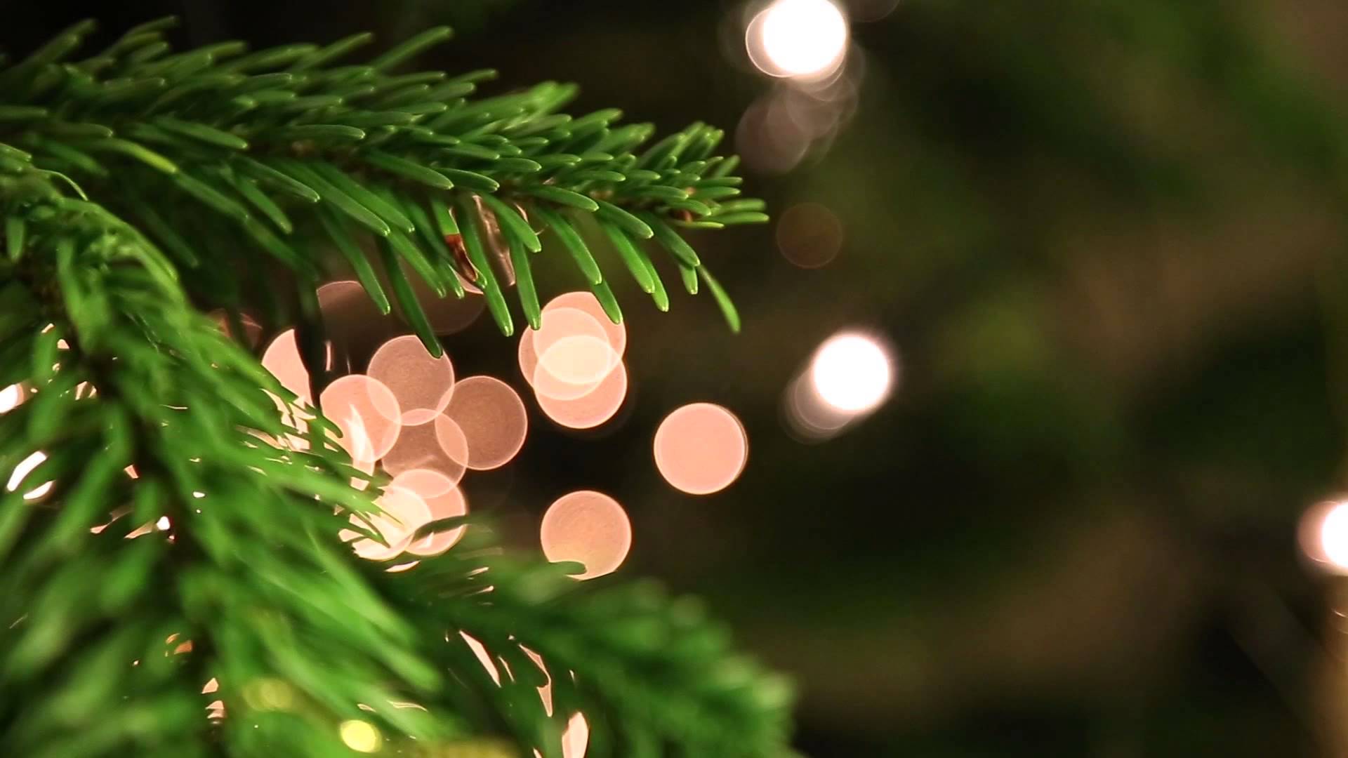 Christmas Tree Close Up - YouTube