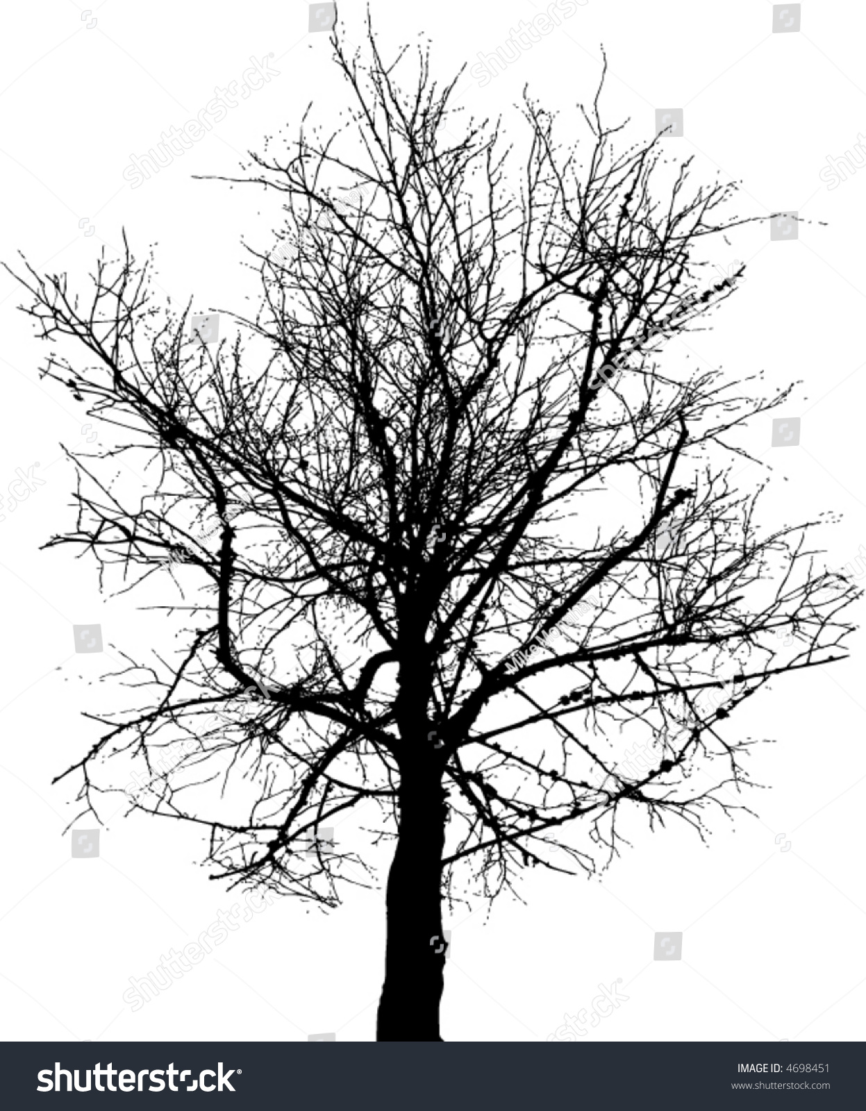 High Contrast Bare Tree Balck White Stock Vector HD (Royalty Free ...
