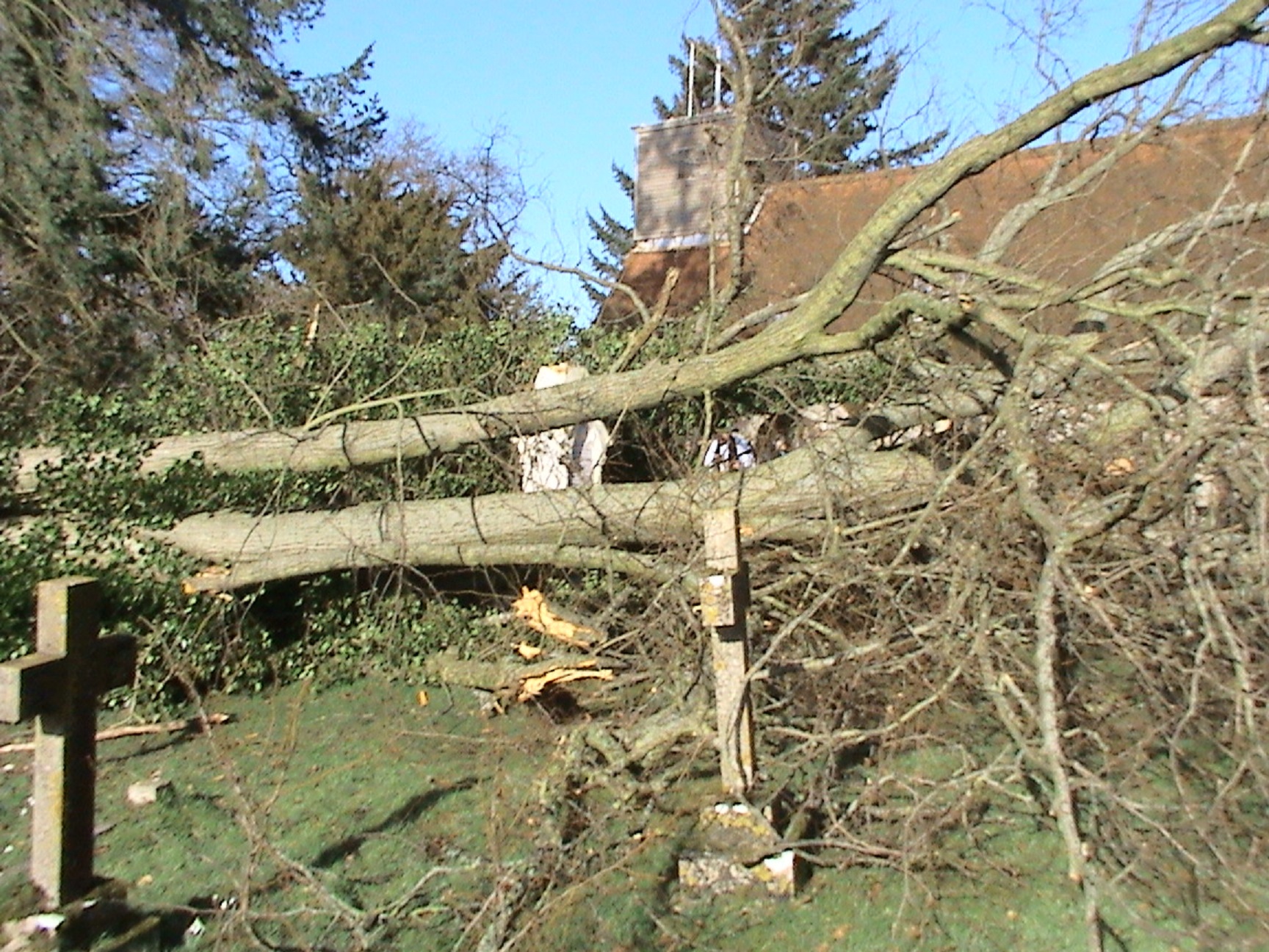 Tree smashes down on Florence's tomb | Romsey Advertiser