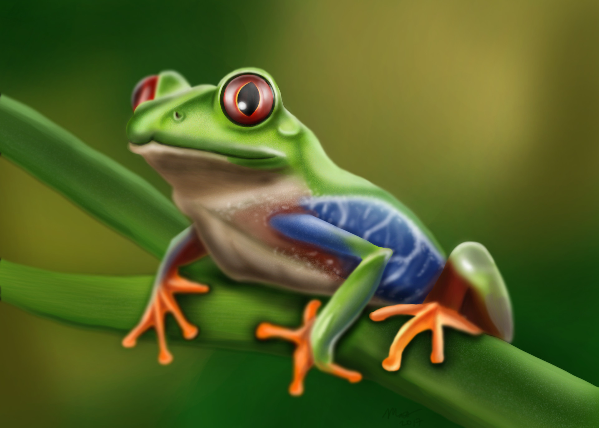 ArtStation - Red-Eyed Tree Frog, Matt Fossen