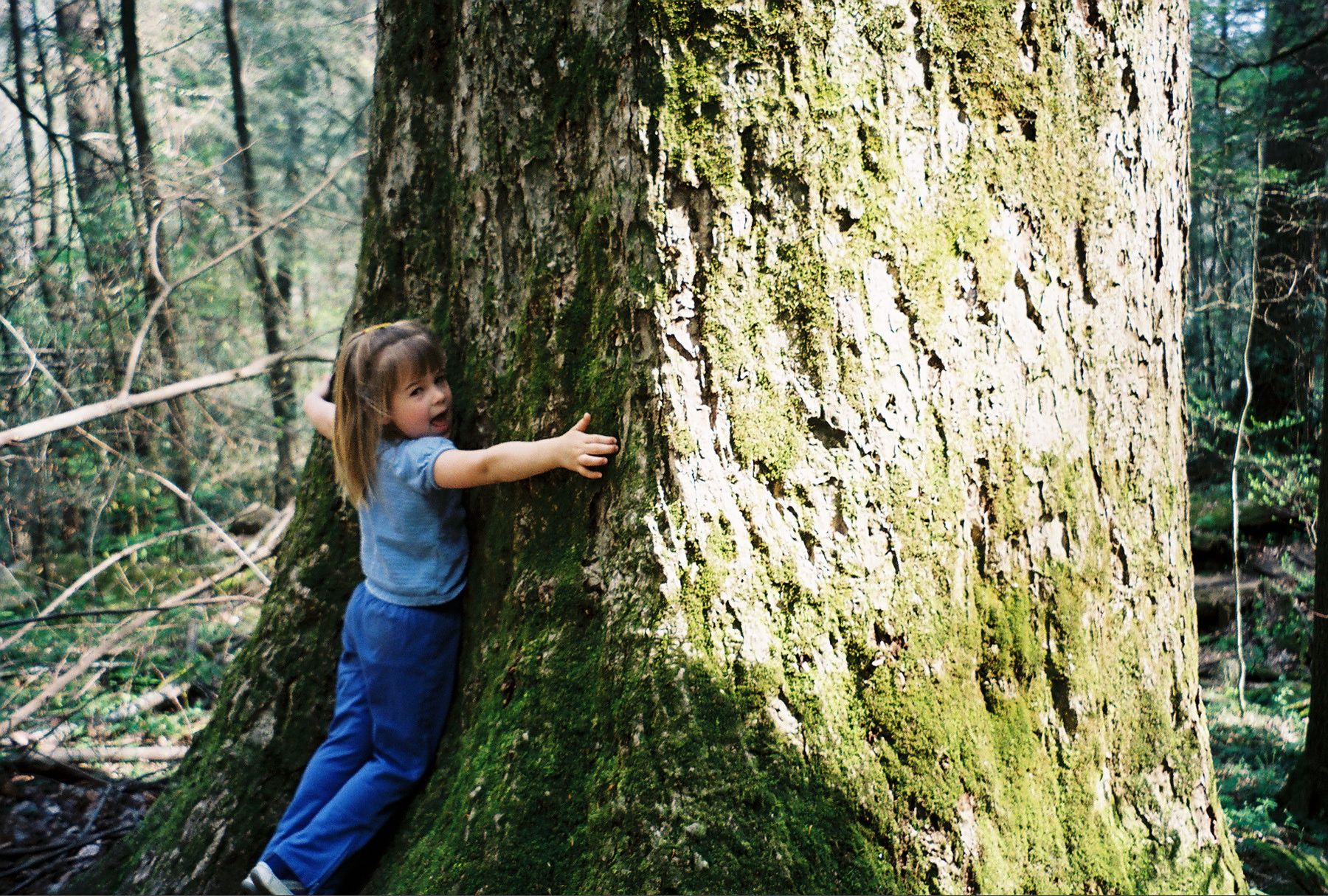 tree hugging | Children | Pinterest | Hug