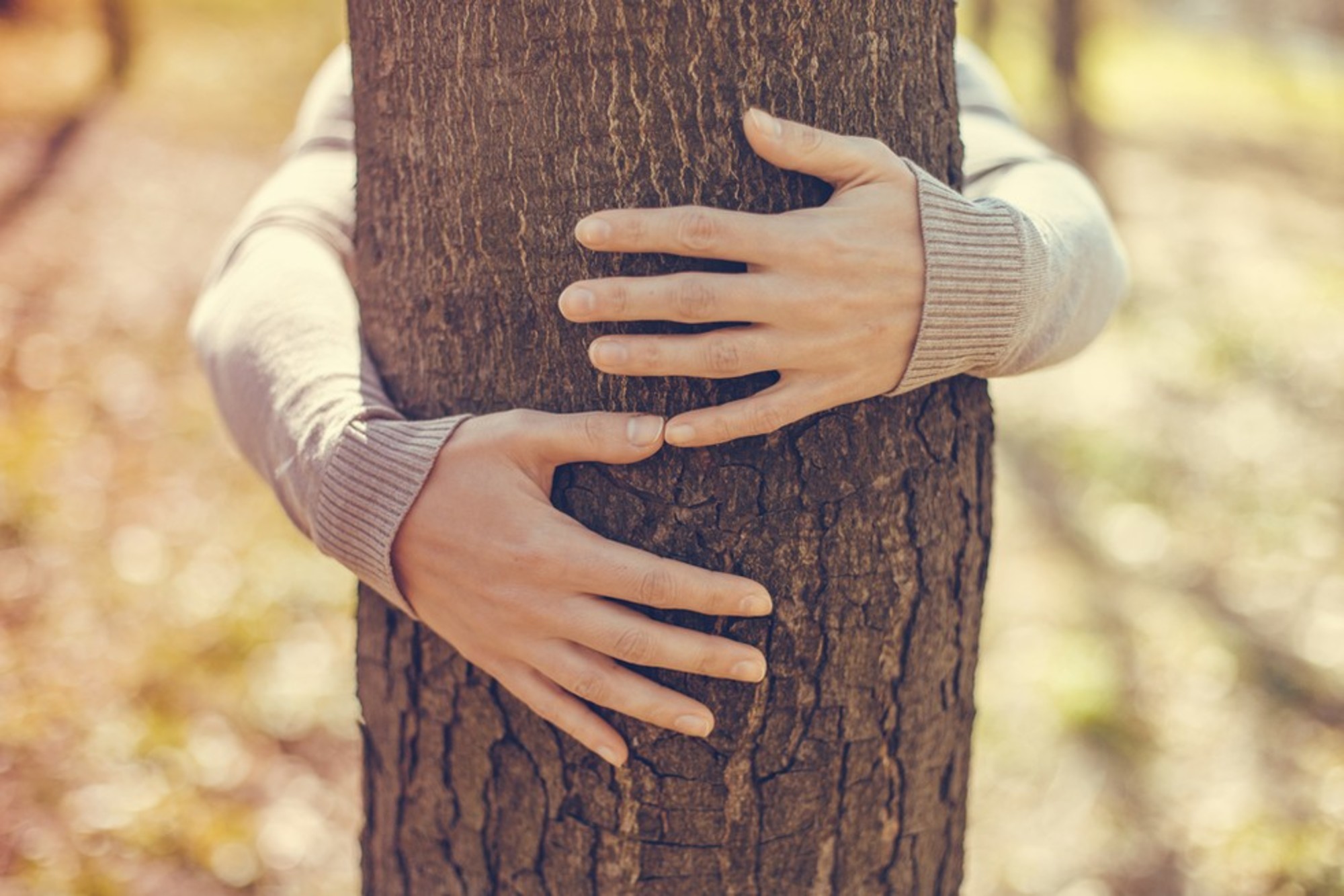 Theories of Tree Hugging Benefits Explained