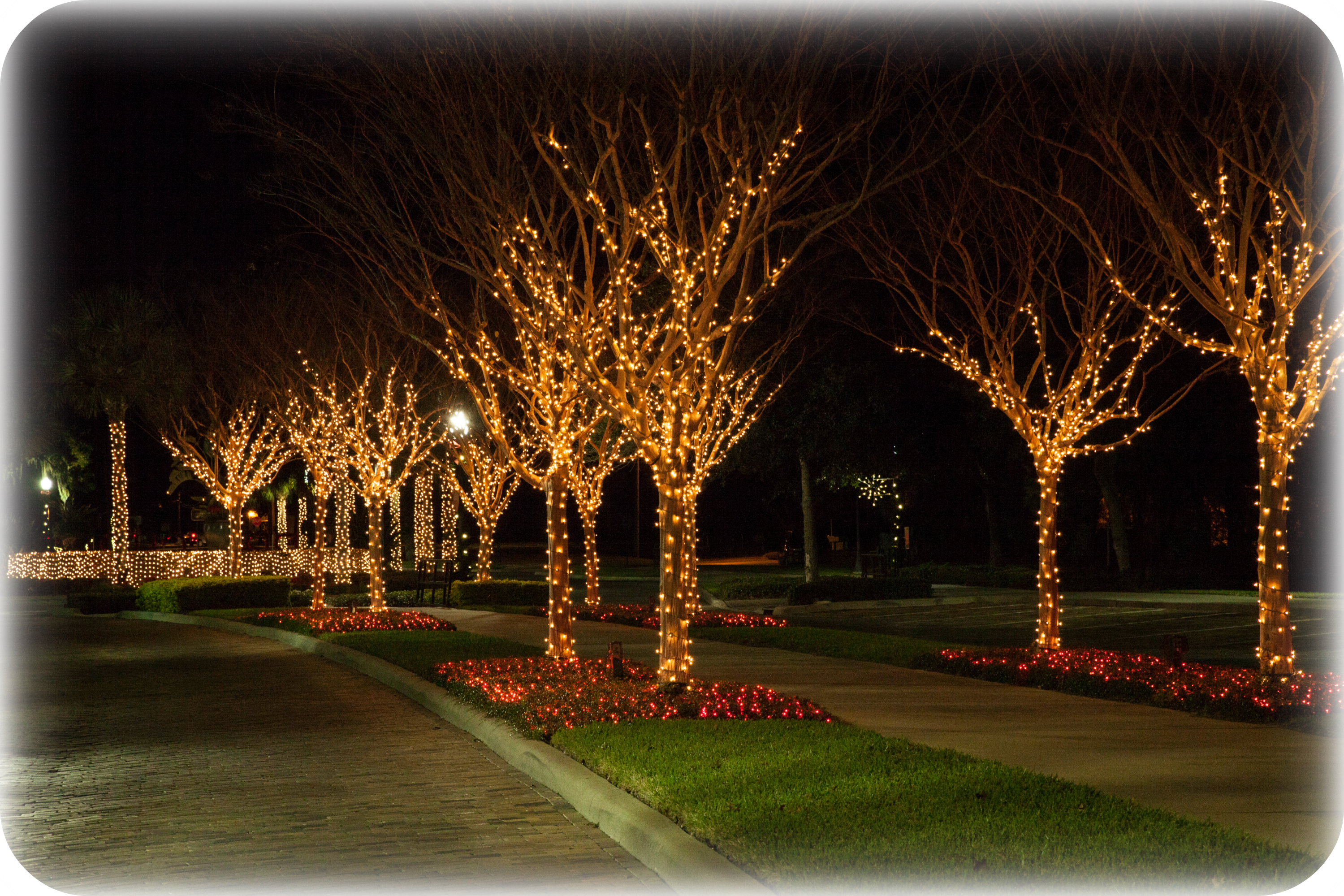 Miller Lights Inc. – Commercial Holiday Decorating, Tree Lighting ...