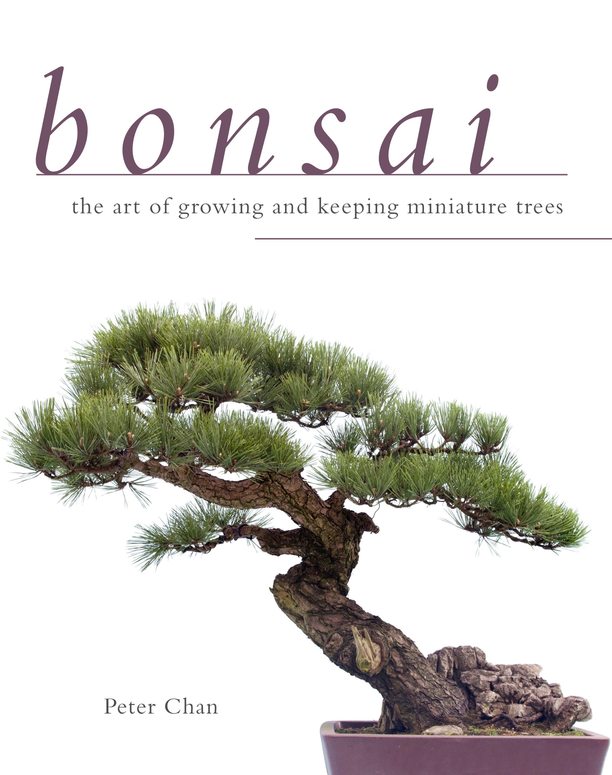 Bonsai: The Art of Growing and Keeping Miniature Trees: Peter Chan ...