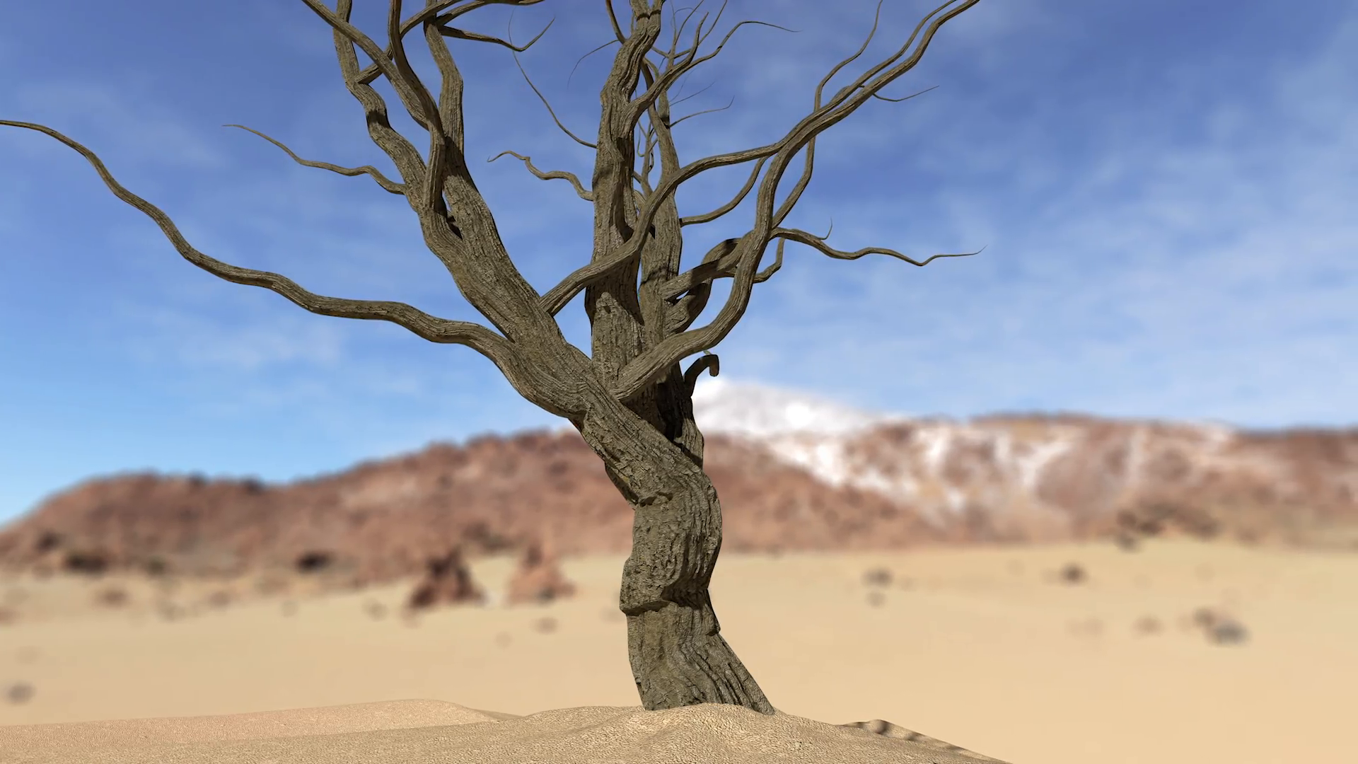 Tree on desert photo