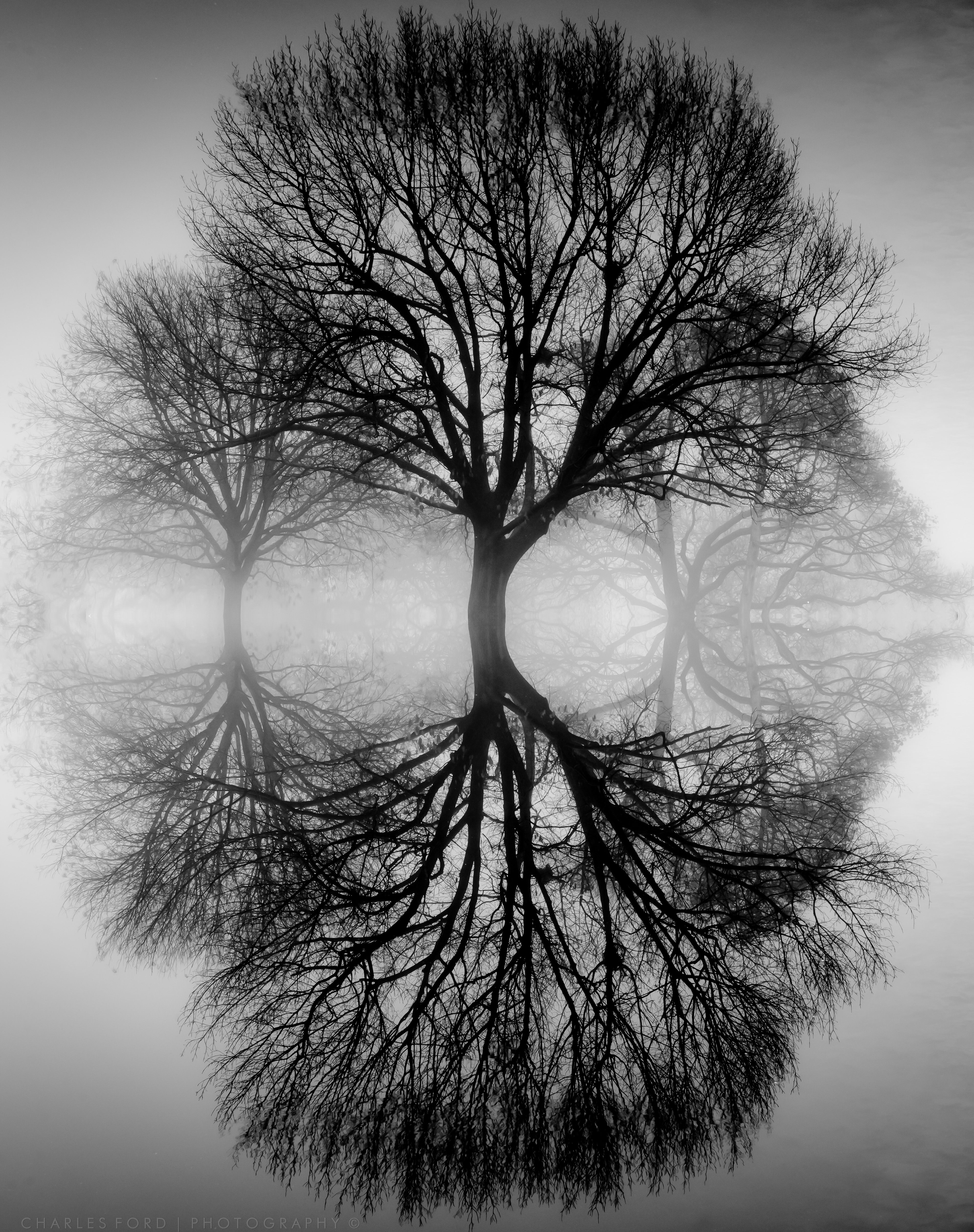 Reflections | Ansel adams, Reflection and Photography