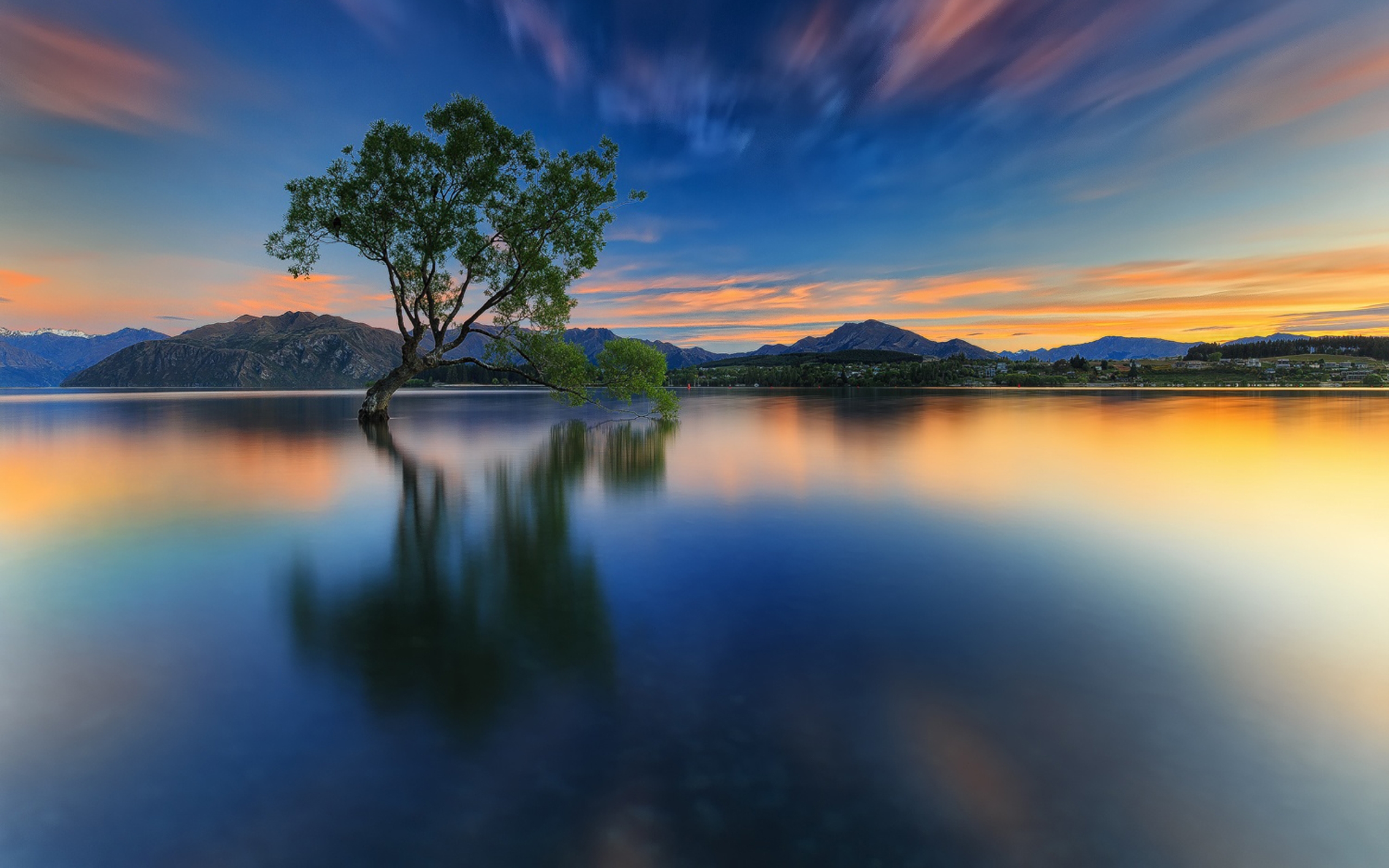 Tree reflection in lake | HD Wallpapers