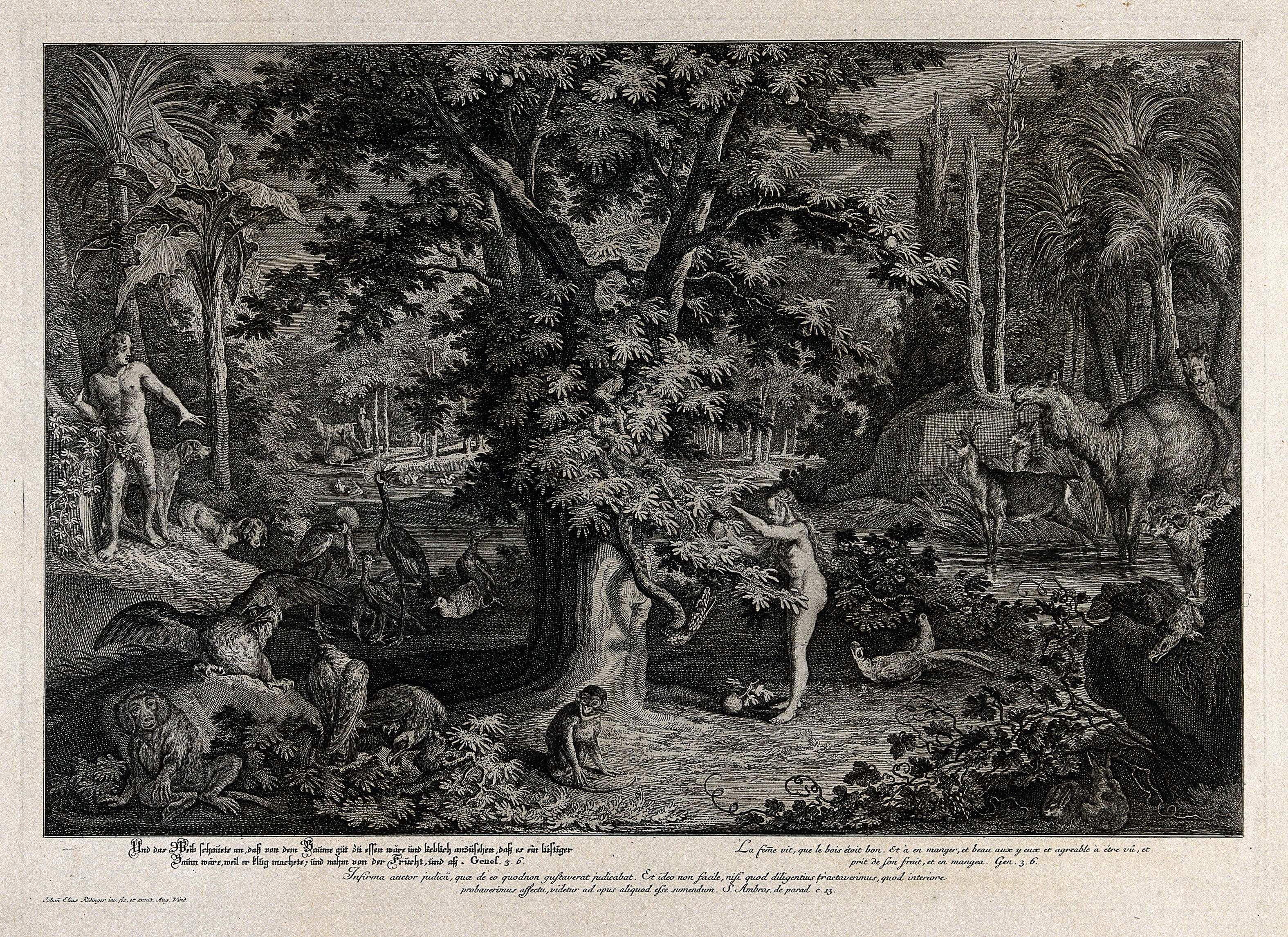 File:Eve picks the apple from the tree as the serpent emerges. Et ...
