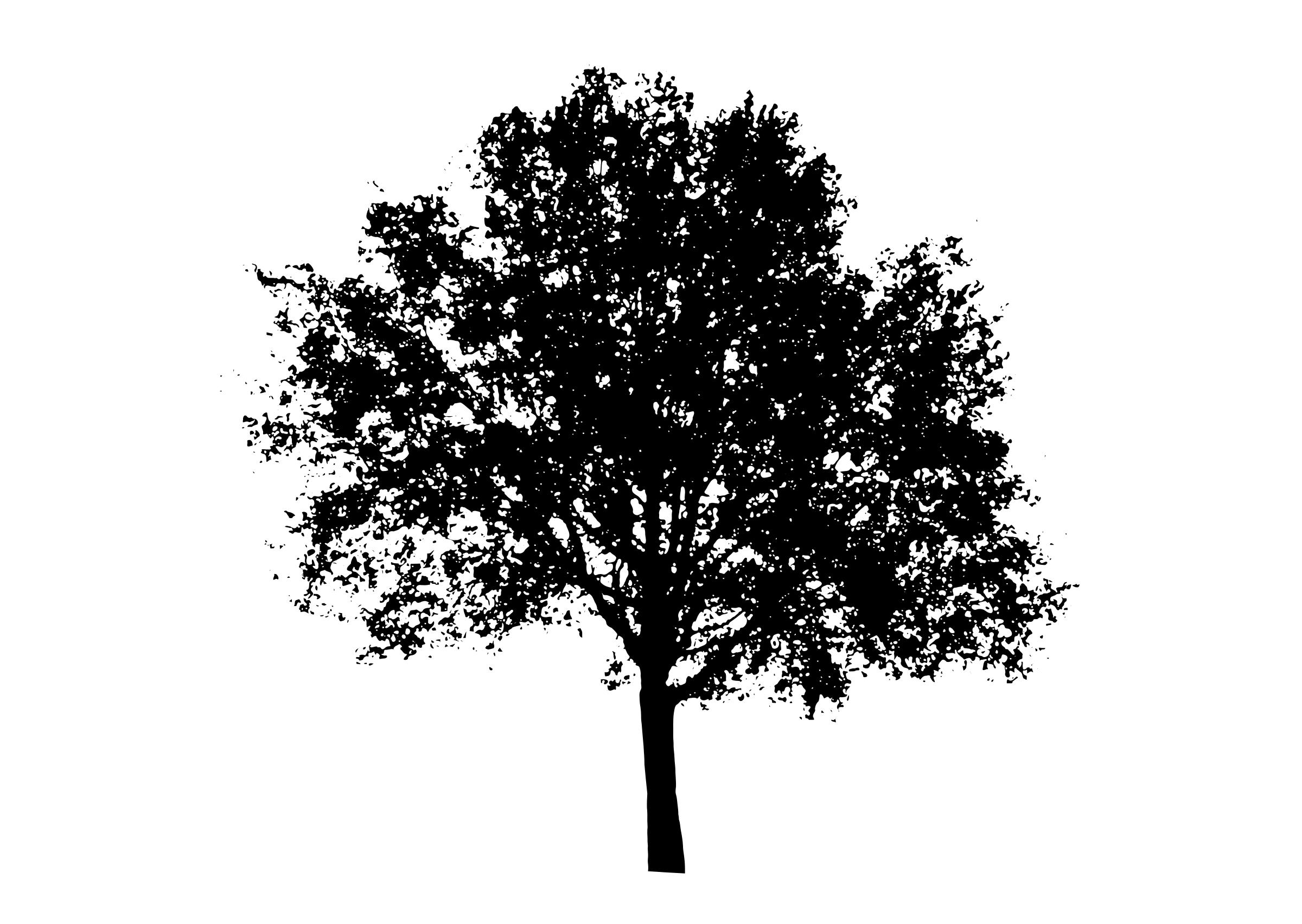 tree silhouette 5 Icons PNG - Free PNG and Icons Downloads