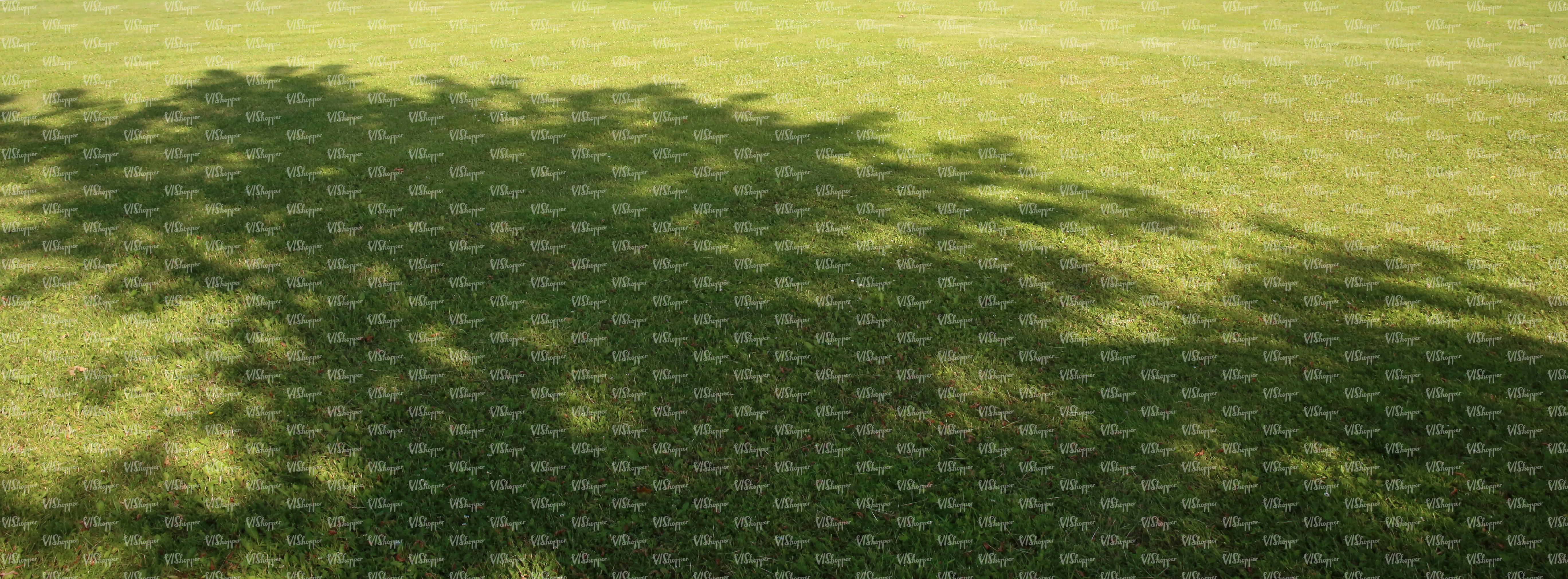 lawn with a tree shadow - ground textures - VIShopper