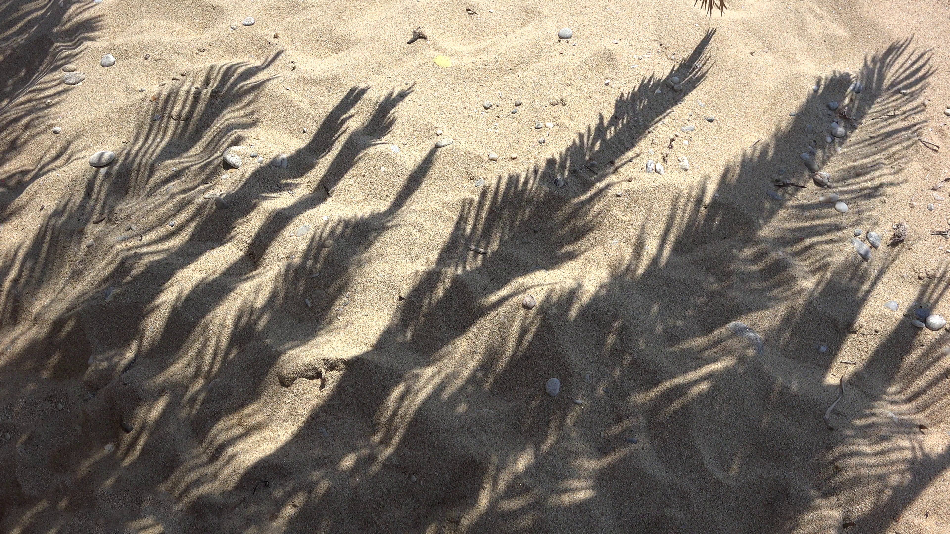 Palm tree shadow on beach sand. at the palm tree shadow Stock Video ...
