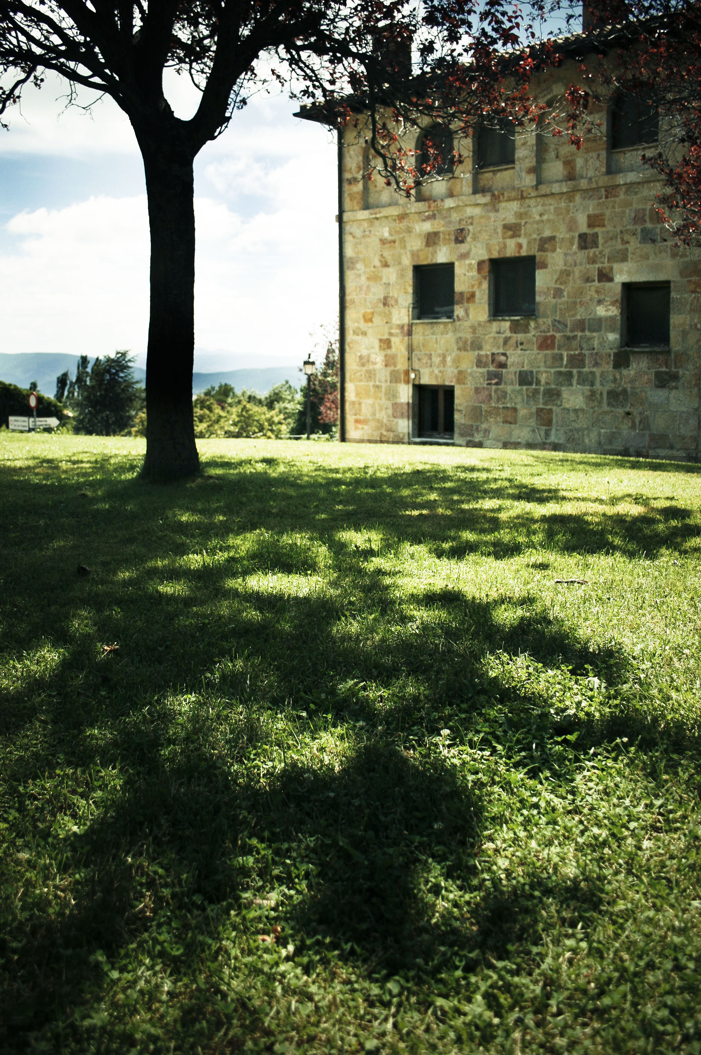 Free photo: Tree shadow - Architecture, Monastery, Tree - Free Download