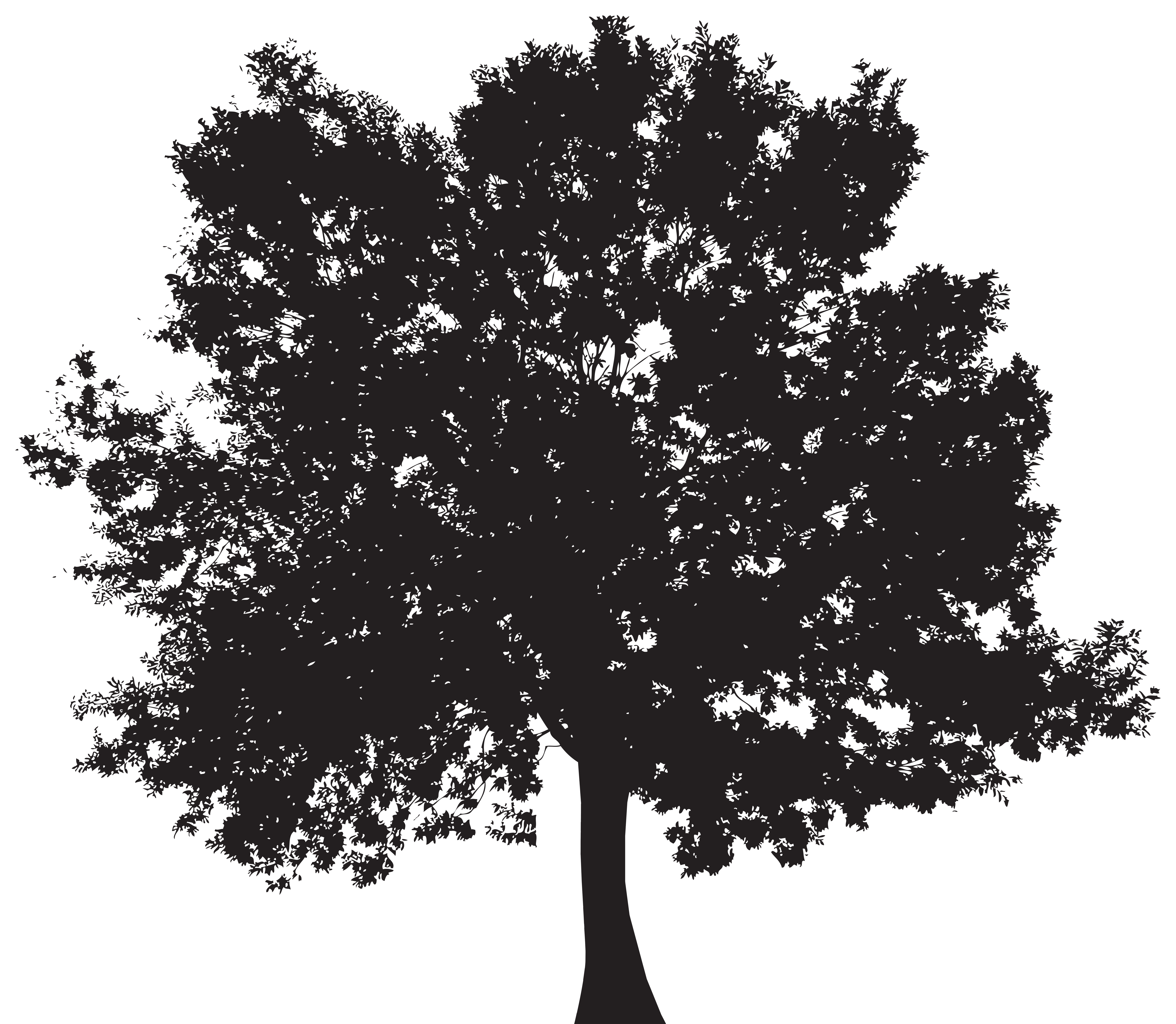 Tree Silhouette PNG Clip Art | Gallery Yopriceville - High-Quality ...
