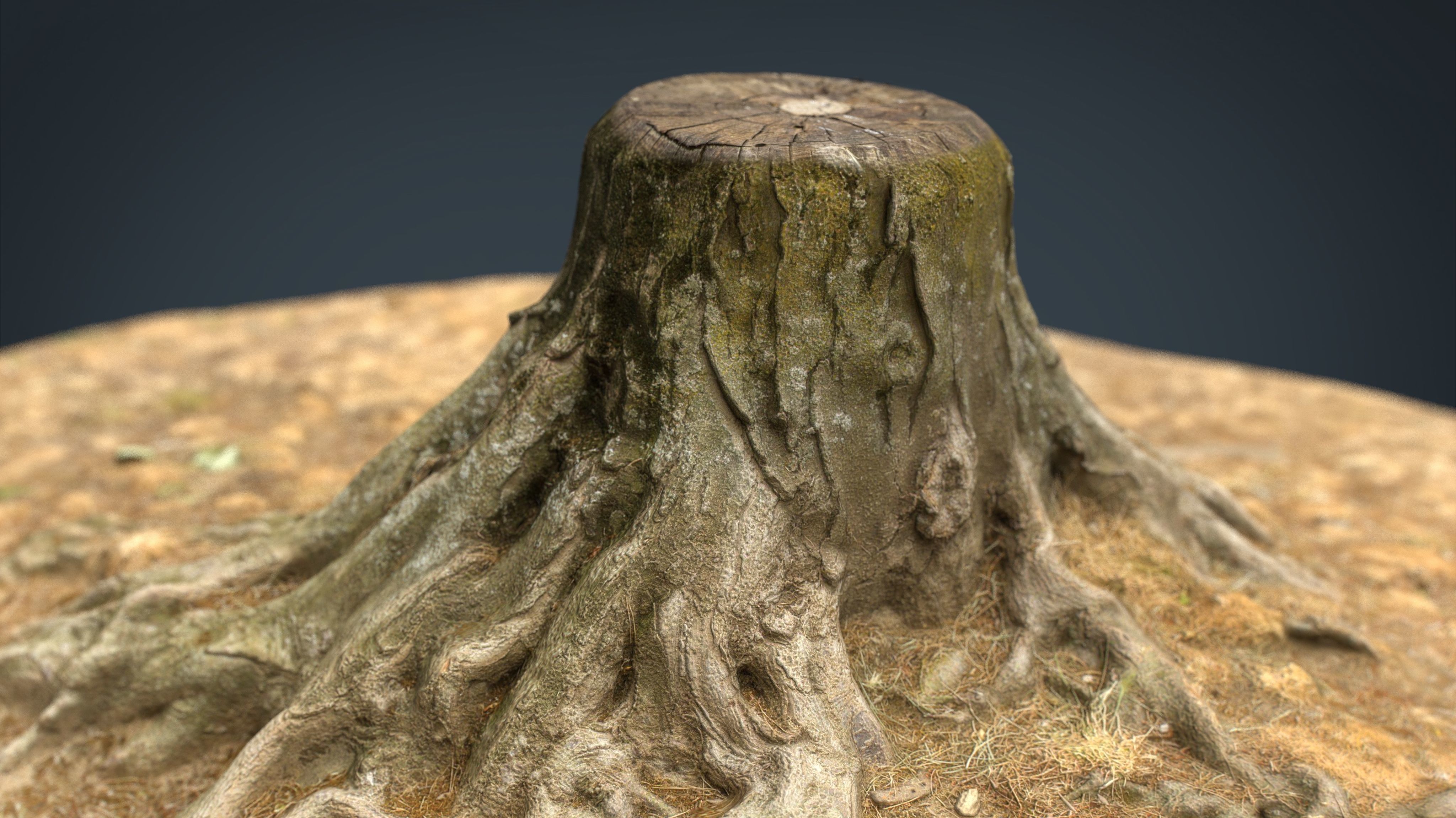 Tree Stump 2 3D model | CGTrader