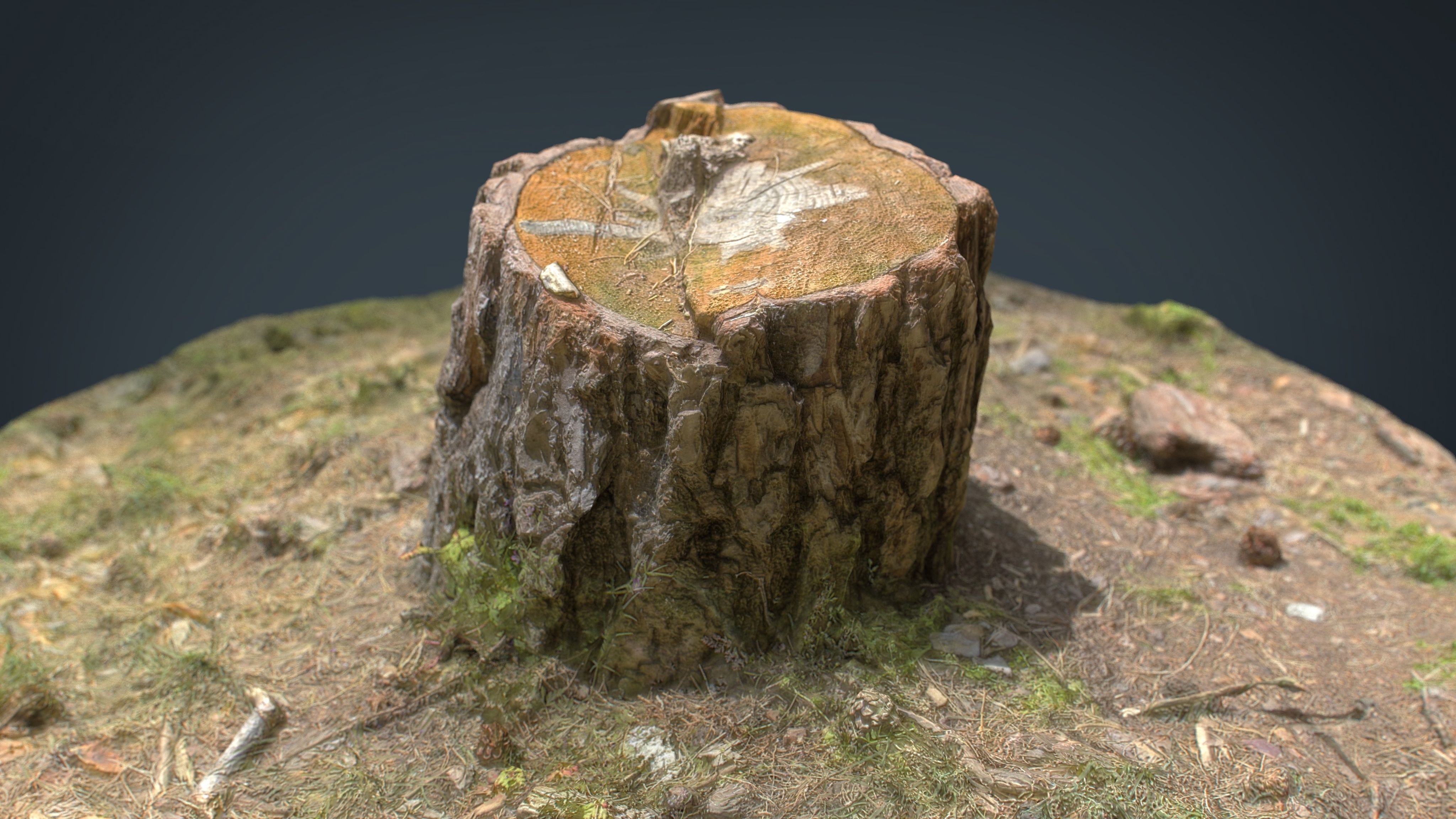 3D model Tree Stump | CGTrader