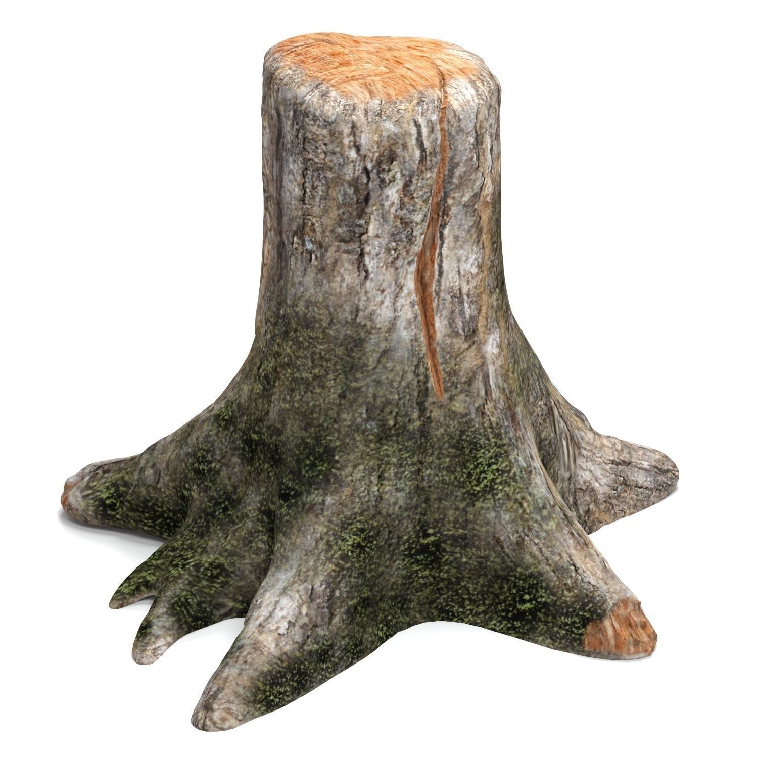 Old tree stump 3D timber | CGTrader