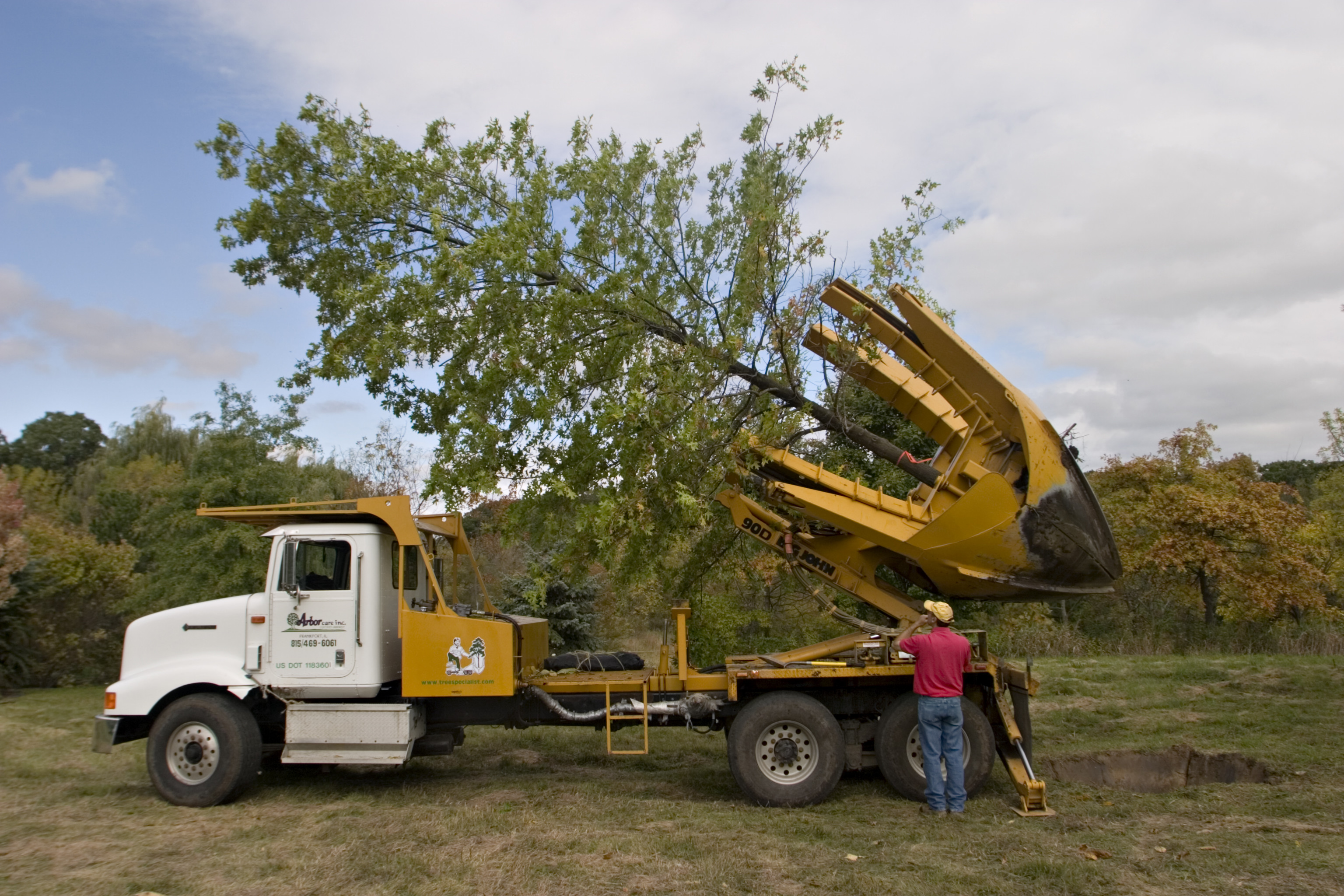 Large tree sales Illinois - Tree Transplanting Illinois | Big Tree ...