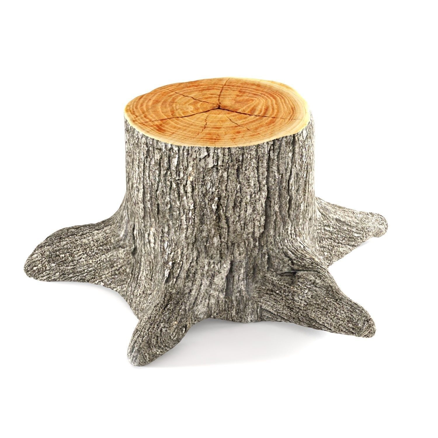 3D model plant Tree stump | CGTrader