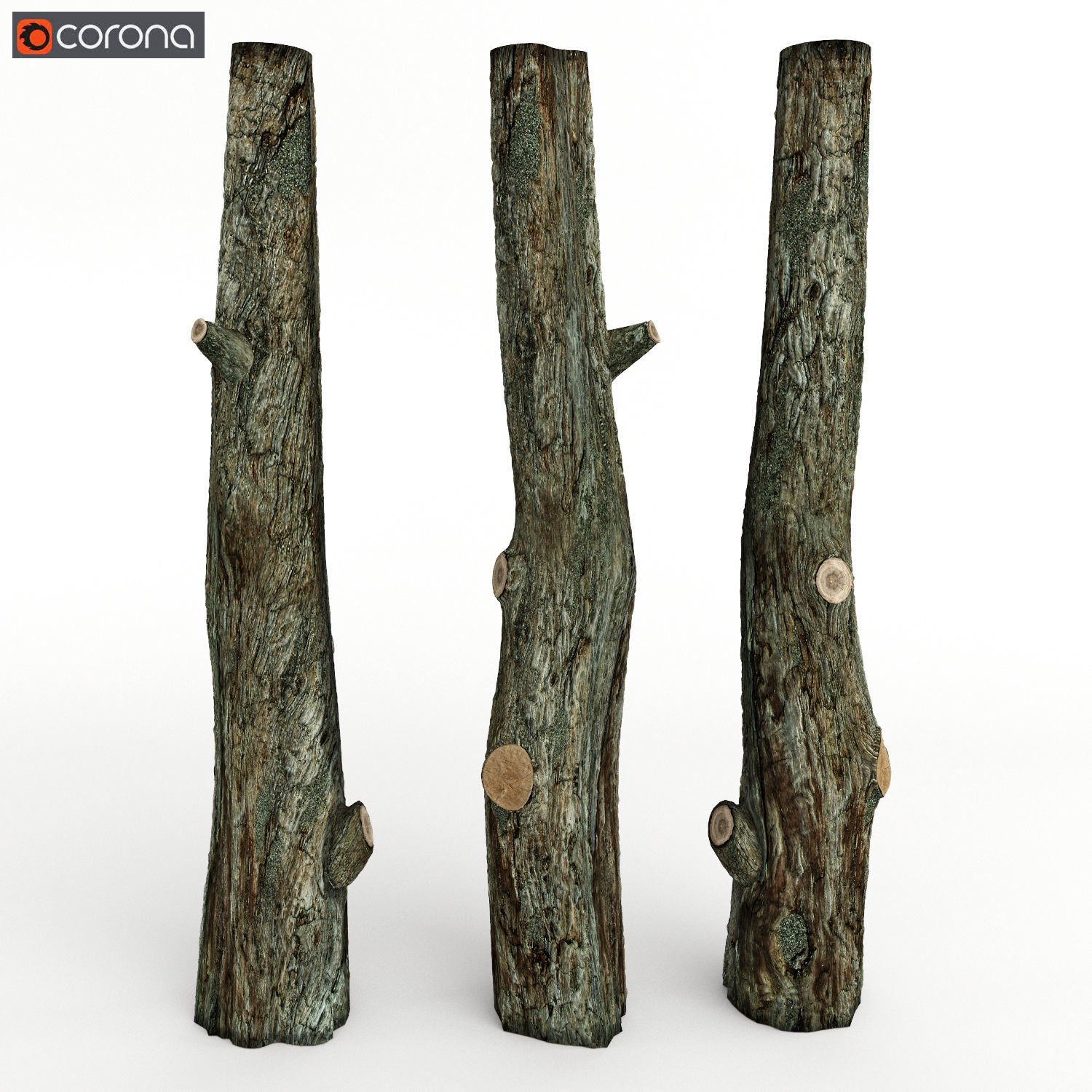 tree trunk 3D model | CGTrader