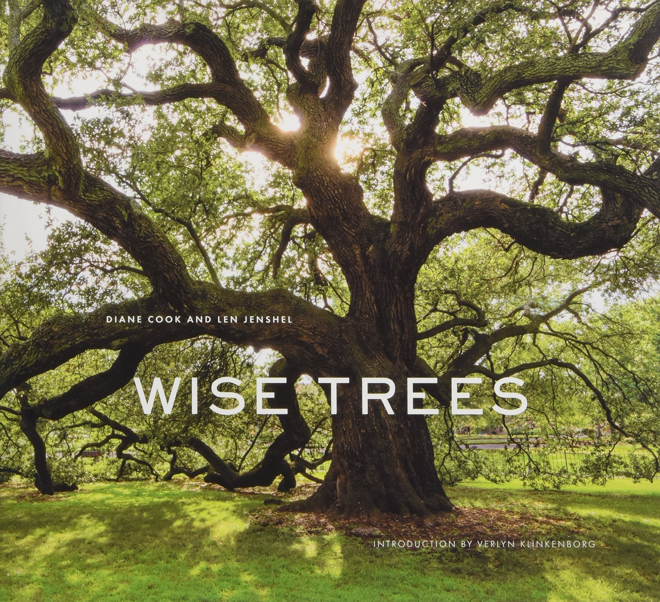 Amazon.com: Wise Trees (9781419727009): Diane Cook, Len Jenshel ...