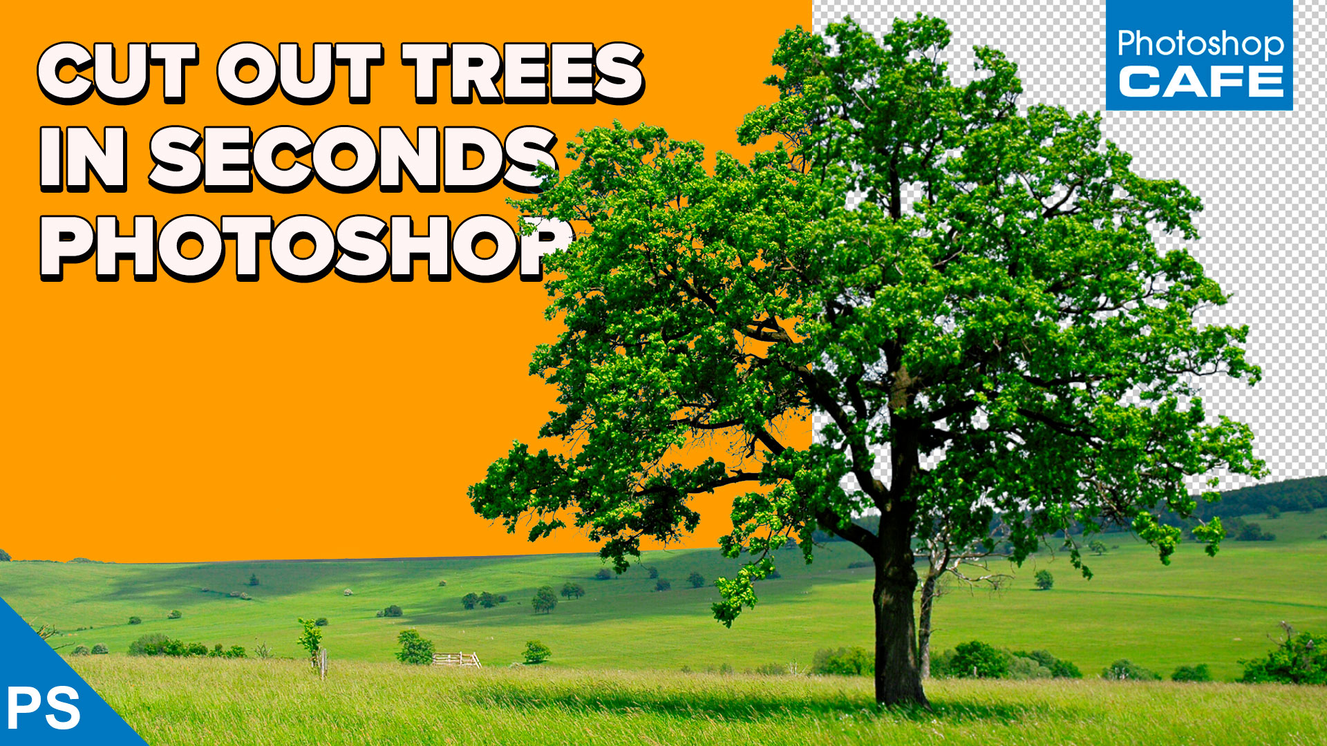 How to cut out trees quickly in Photoshop tutorial - PhotoshopCAFE
