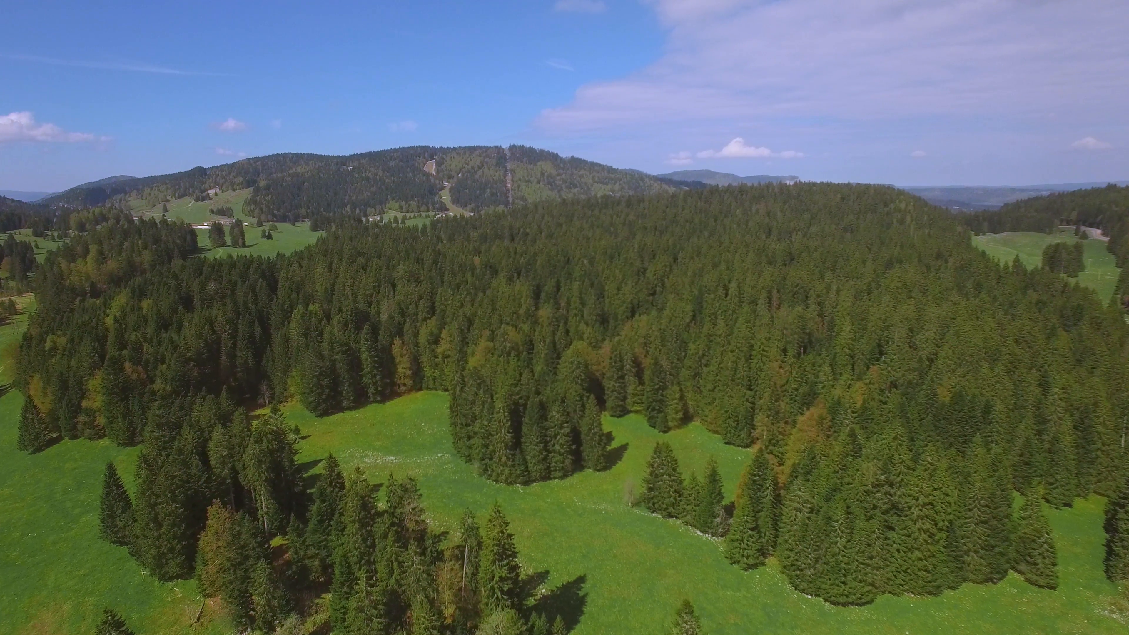 4K Swiss Jura forest park aerial shot / Pine trees and mountain ...