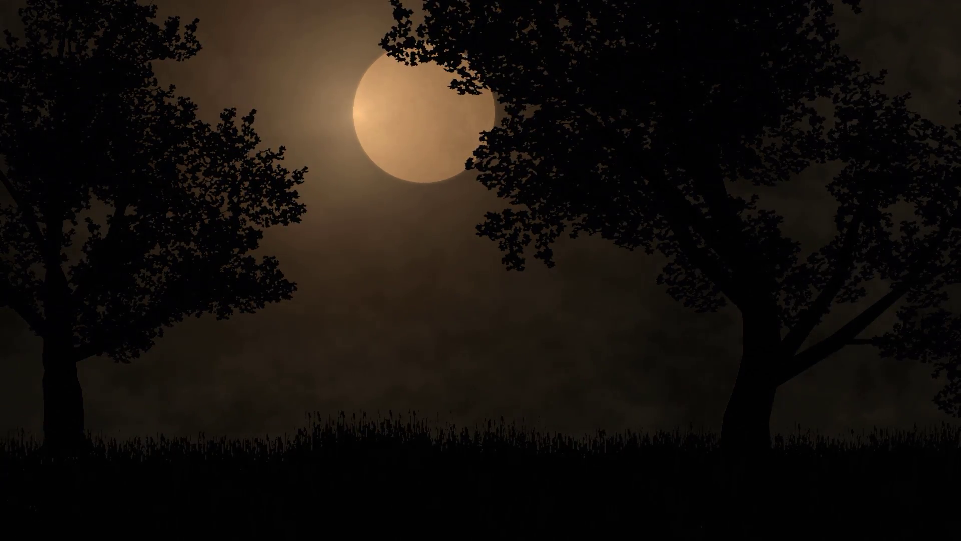 Full moon behind trees at night Motion Background - Videoblocks