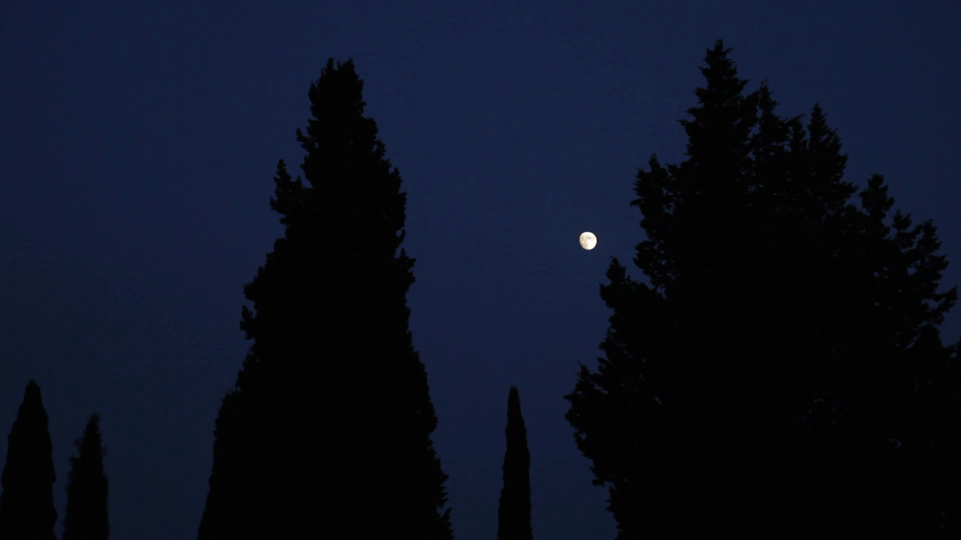 WS Full moon behind trees at night / Tuscany, Italy Stock Video ...