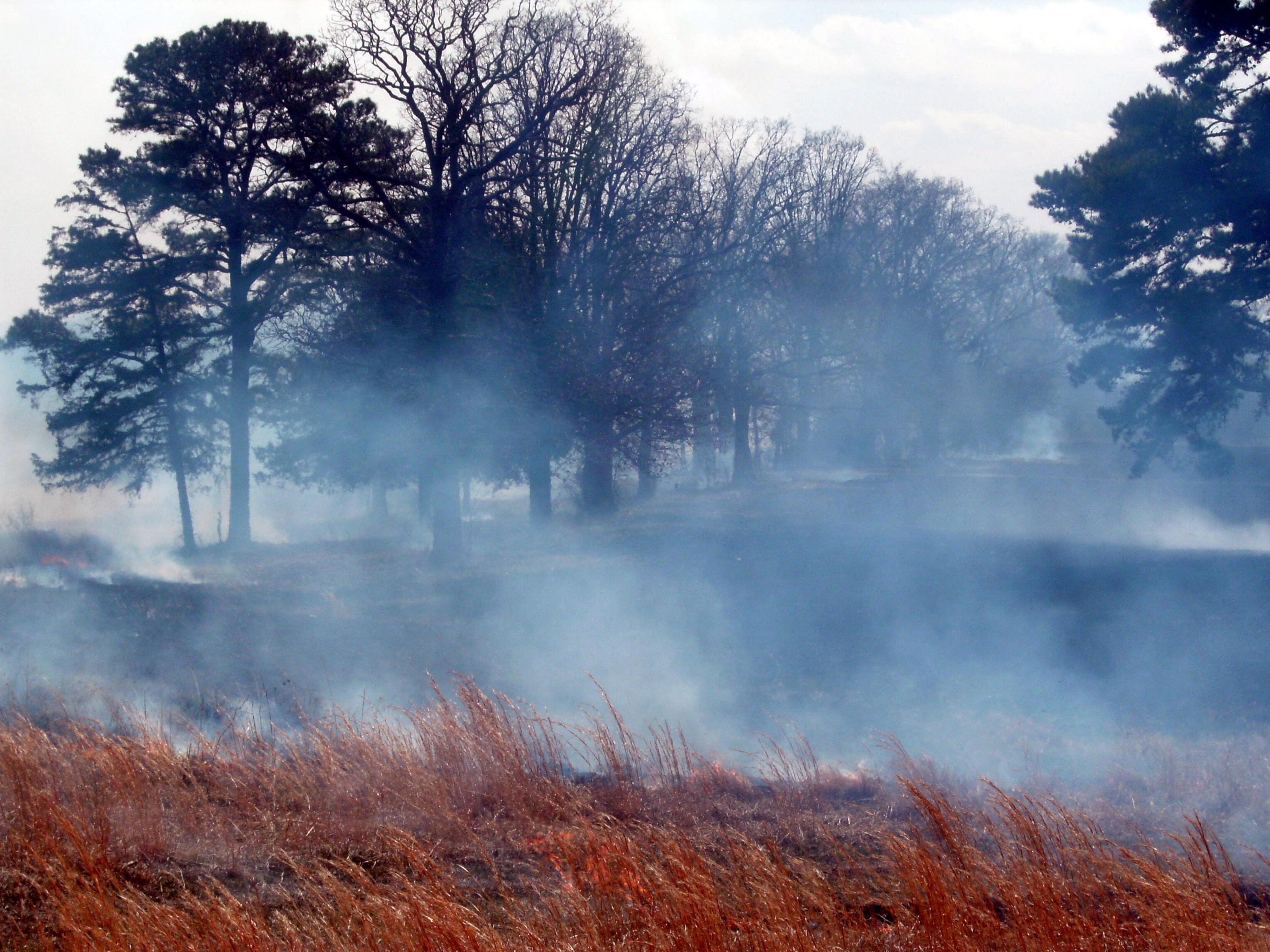 Field: Burning Field Grass Fire Burn Smoke Trees Fields Wallpapers ...