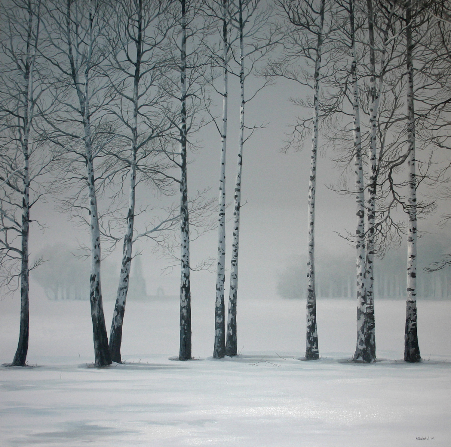 Birch Trees in the Snow
