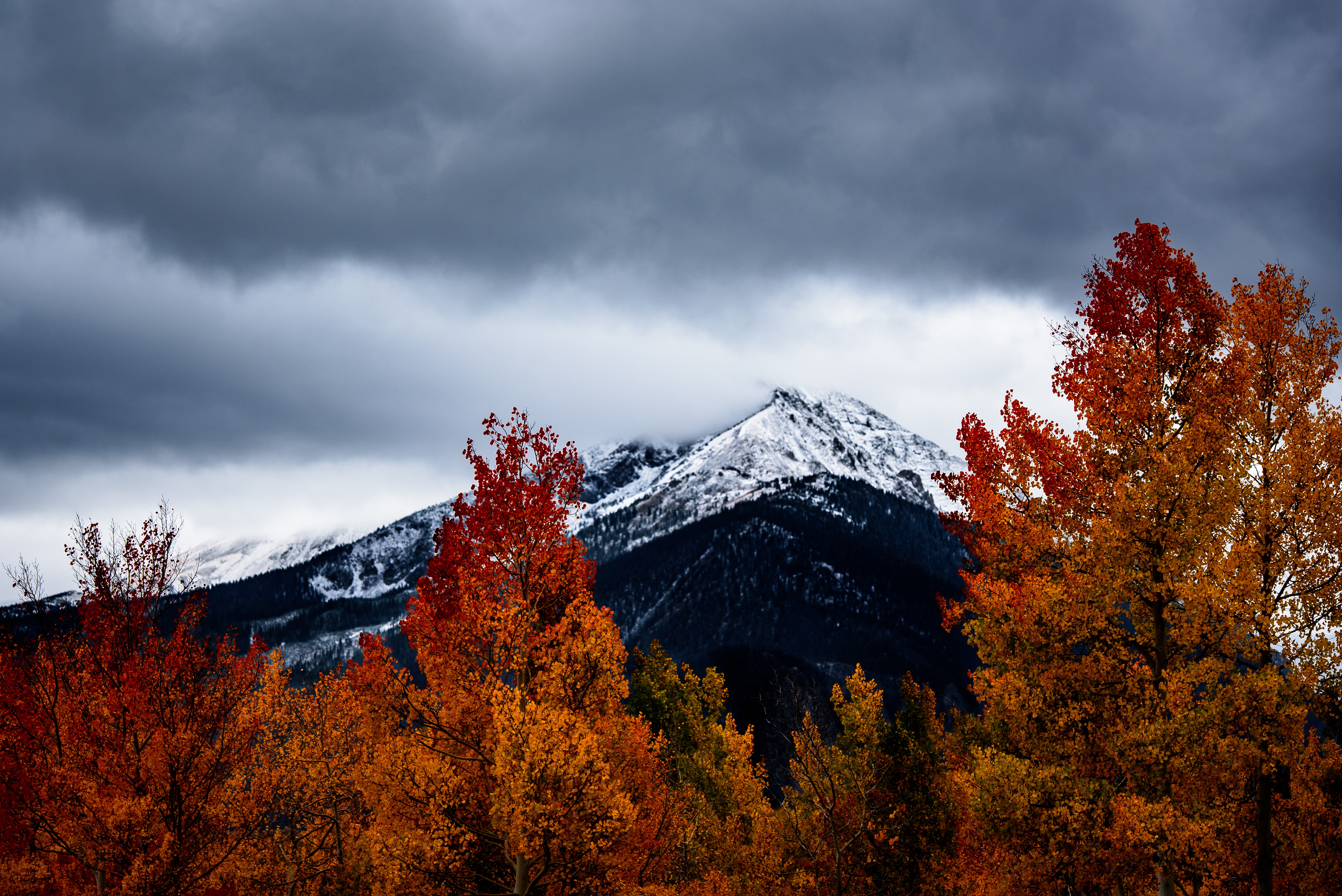 orange leaf trees near mountain at daytime free image | Peakpx