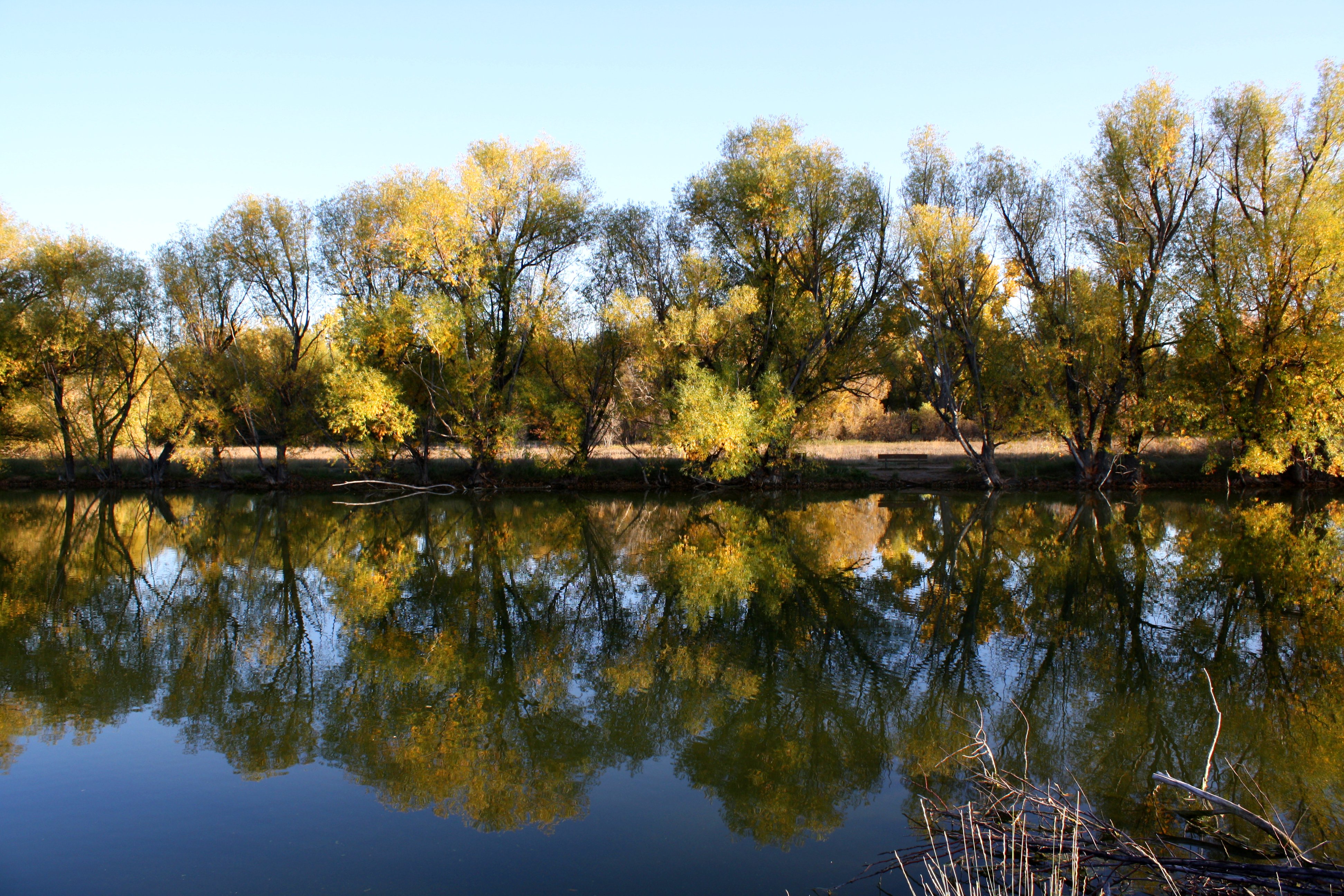 Sun on Autumn Trees Reflected in Water Picture | Free Photograph ...