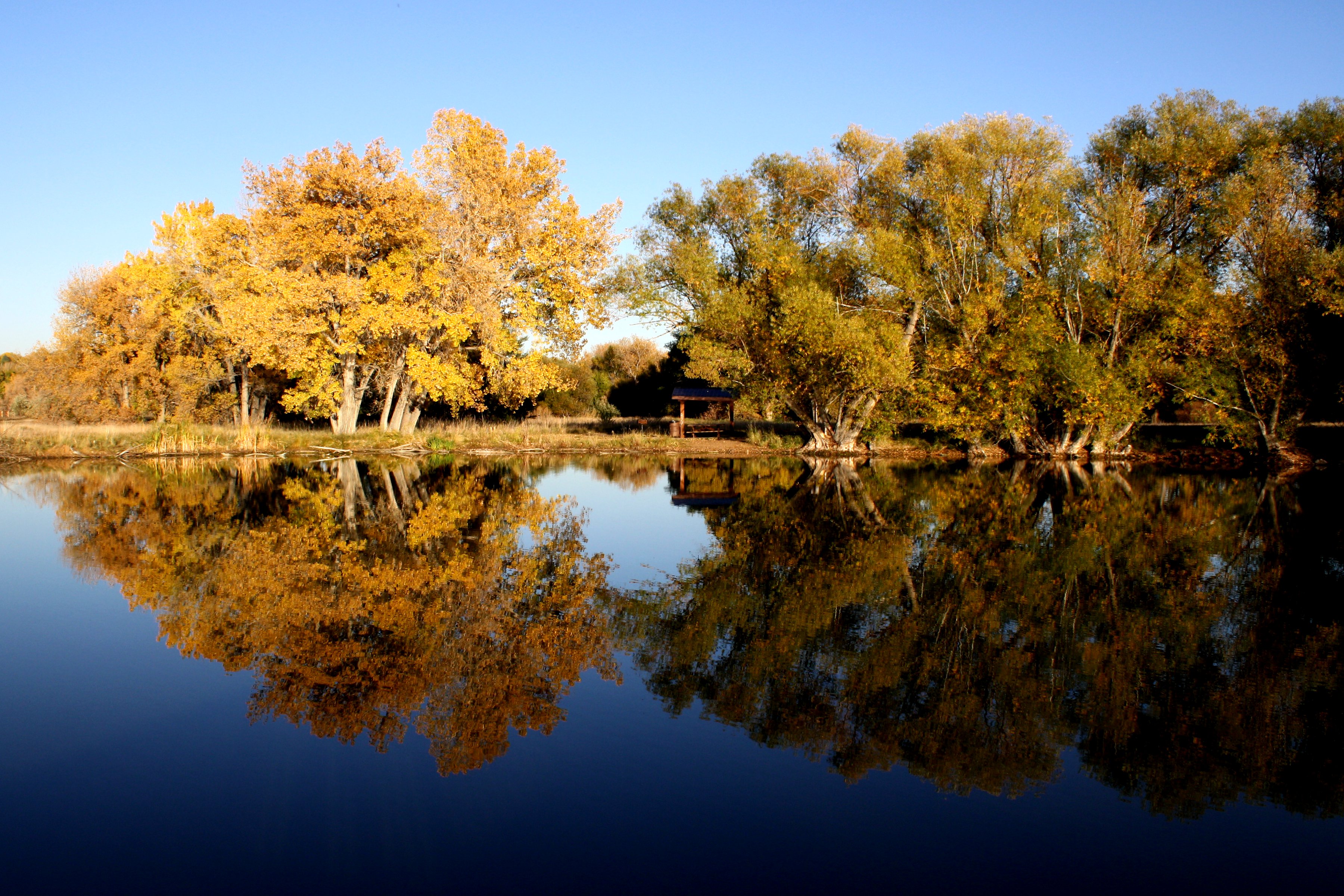 Autumn Trees Reflected in Lake Picture | Free Photograph | Photos ...