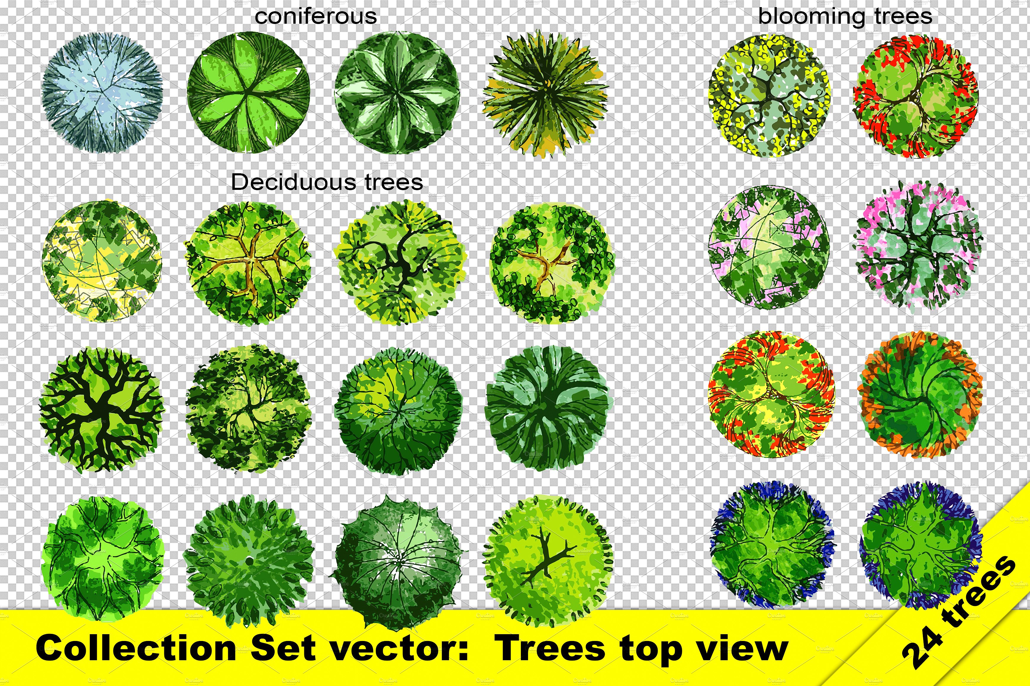 Set of top view trees vector and png ~ Objects ~ Creative Market
