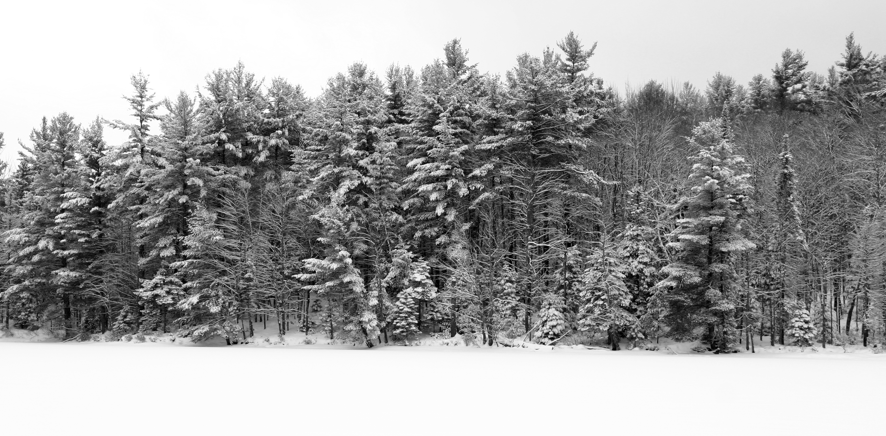 Winter | New Hampshire Public Radio