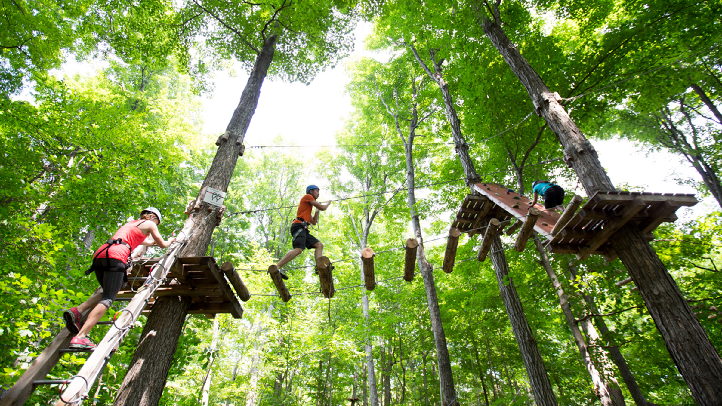 Treetop Trekking at Horseshoe Resort, Barrie Ontario