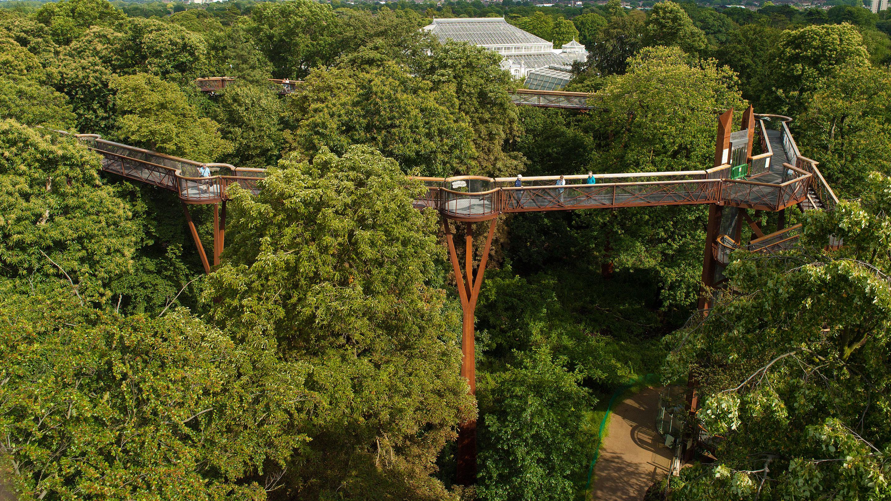 Treetop Walkway | Kew