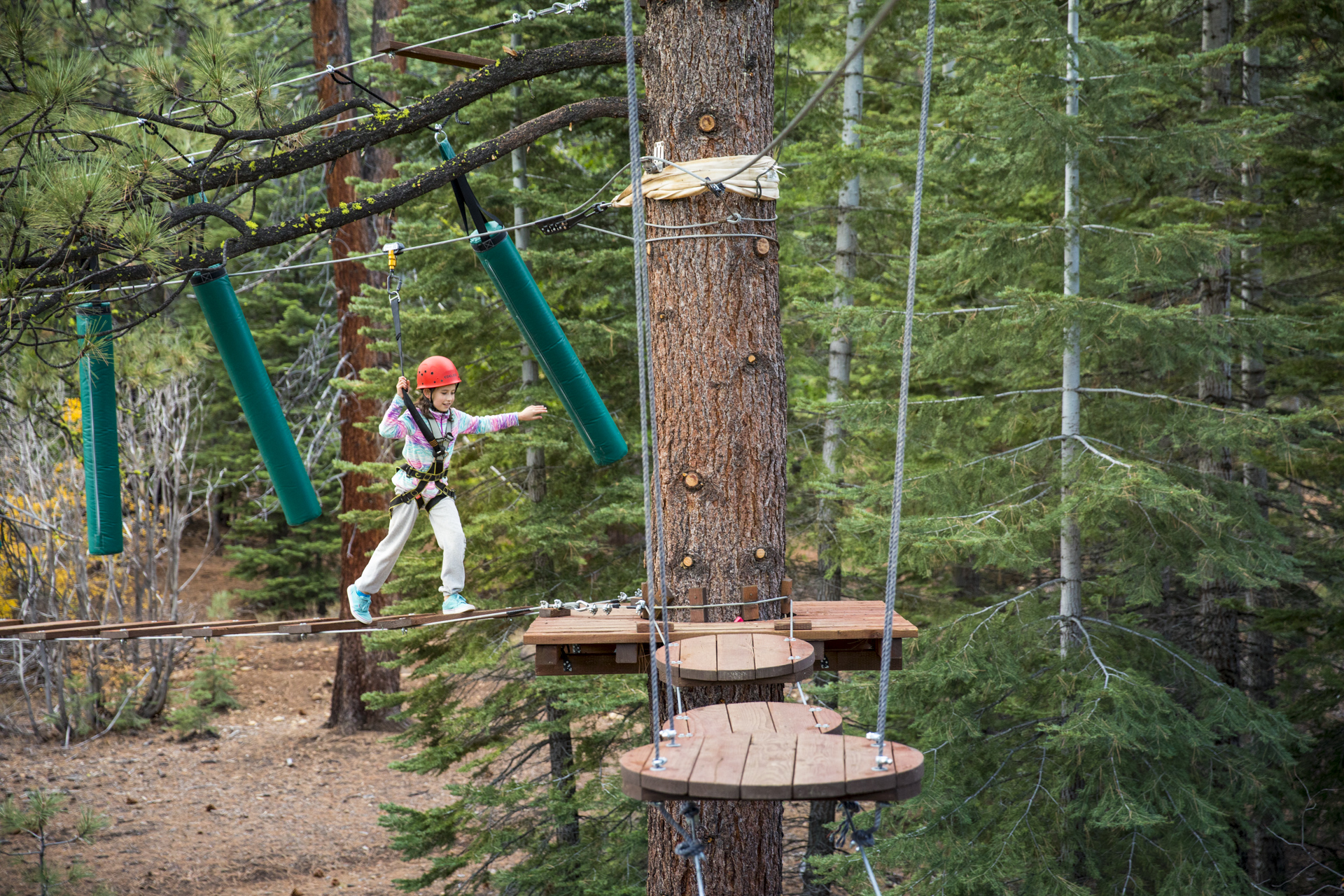 Aerial Adventure Parks | Tahoe Treetop Adventure Parks
