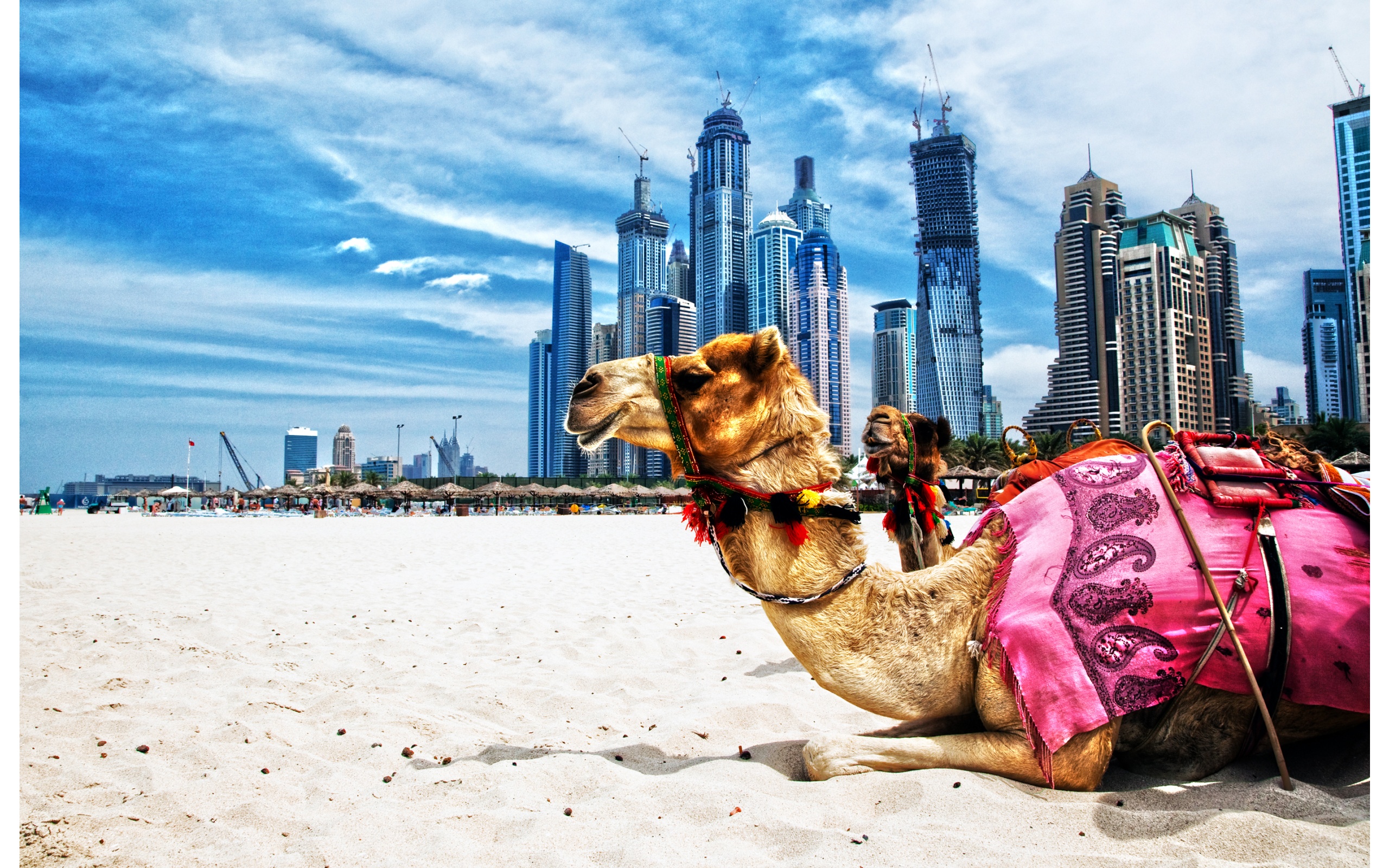 Dubai - Explore the world with a trip to Dubai