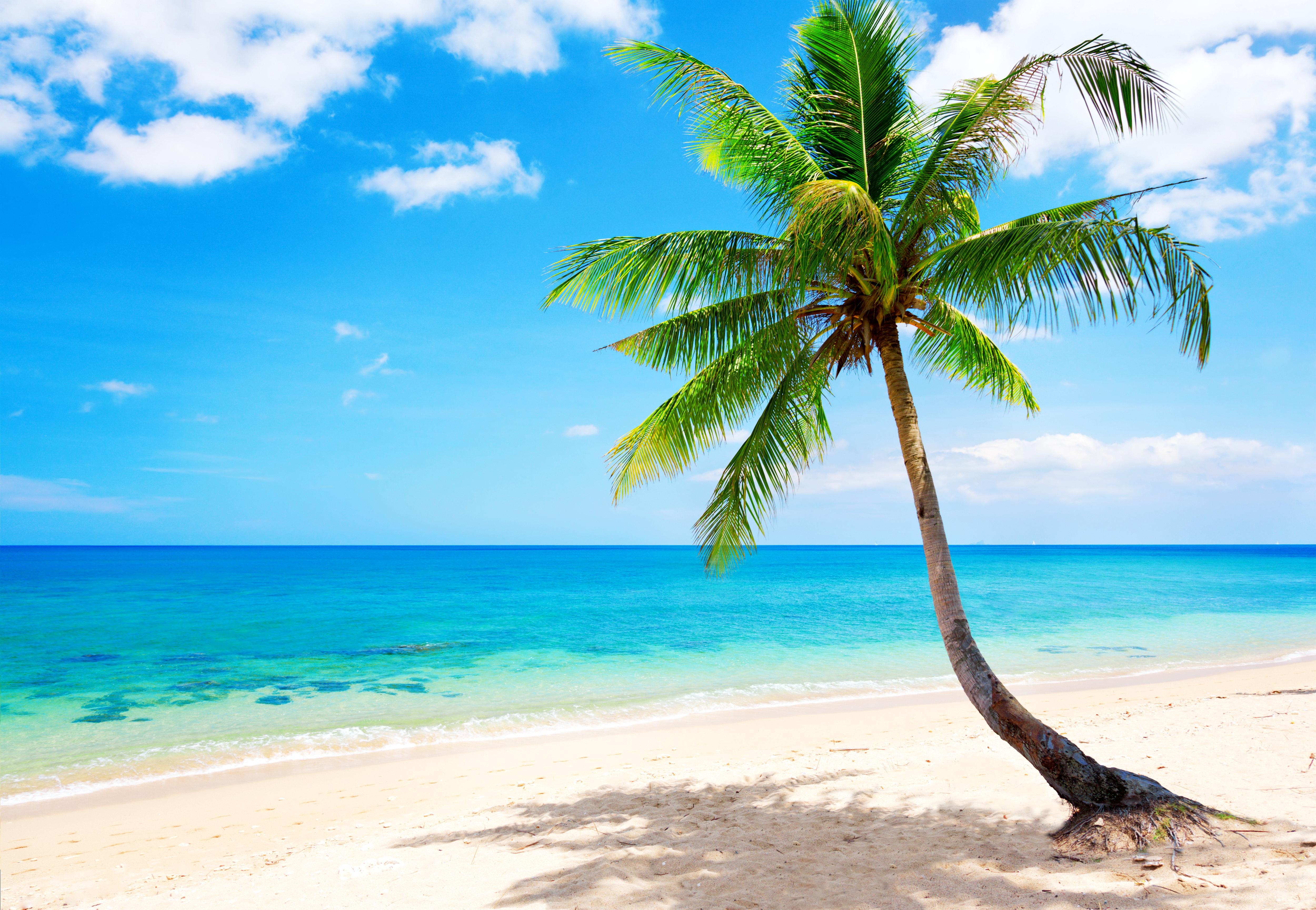 Beautiful Tropical Beach Wallpaper for Computer | The Most Beautiful ...