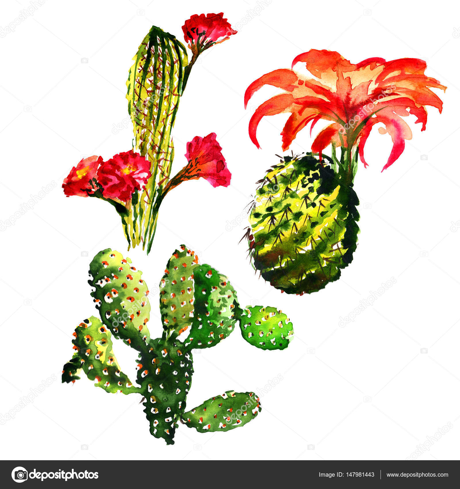 Tropical cactus tree in a watercolor style isolated. — Stock Photo ...