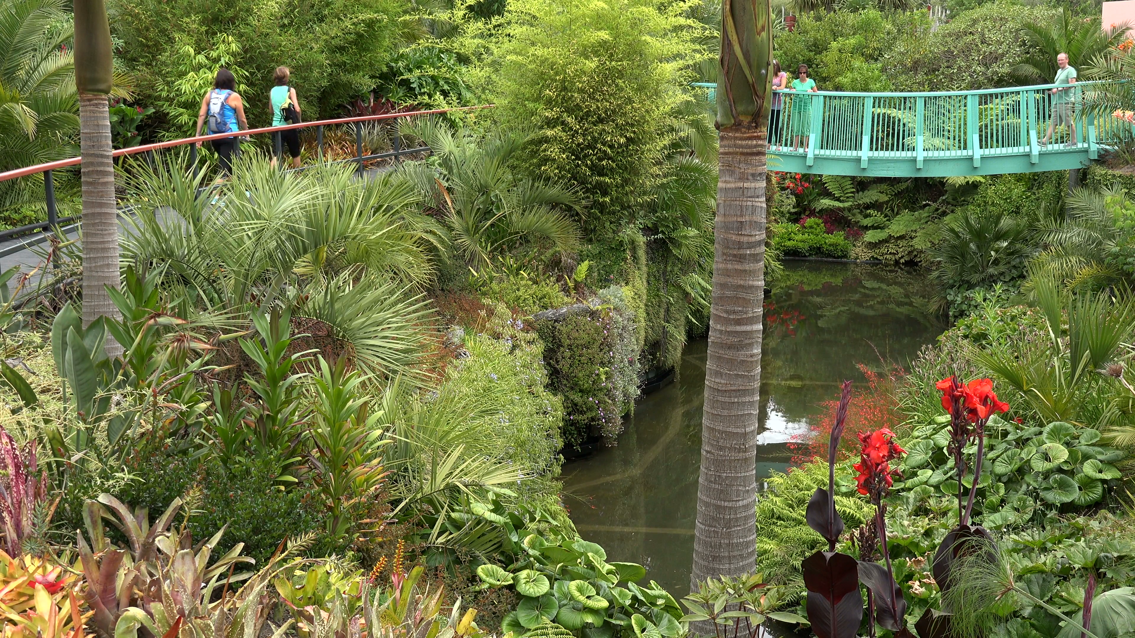 Tropical garden bridge photo