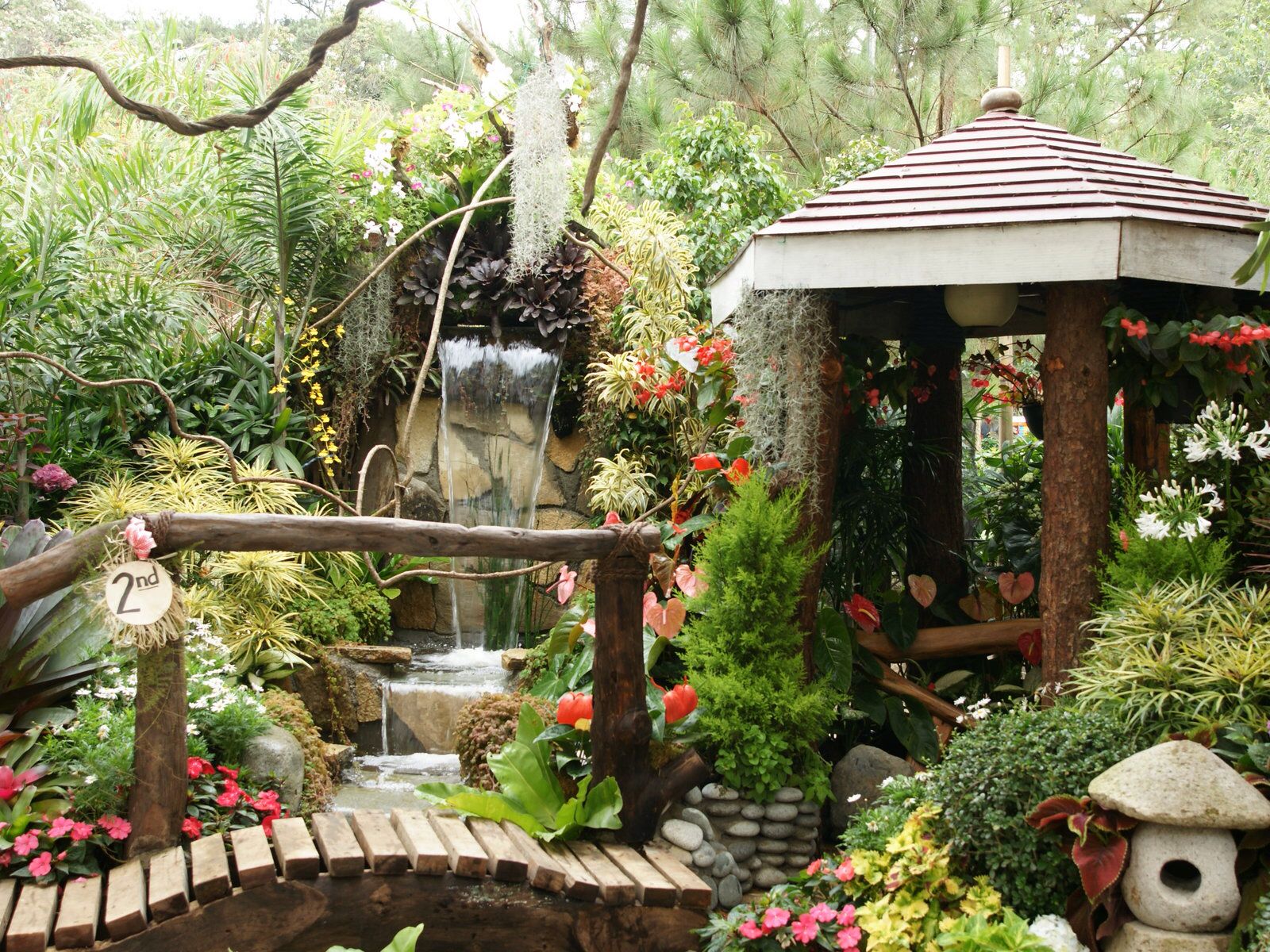 Hardscape in Tropical Garden | Tropical Garden | Pinterest ...
