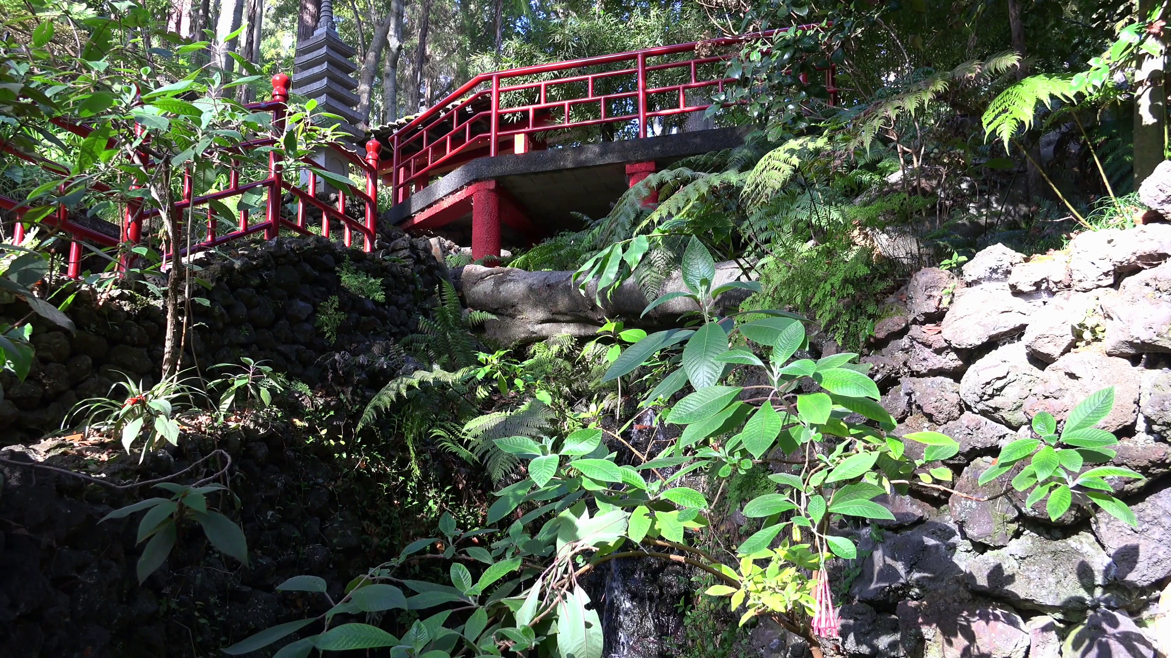 4k Chinese bridge and spring water in tropical garden Madeira Stock ...