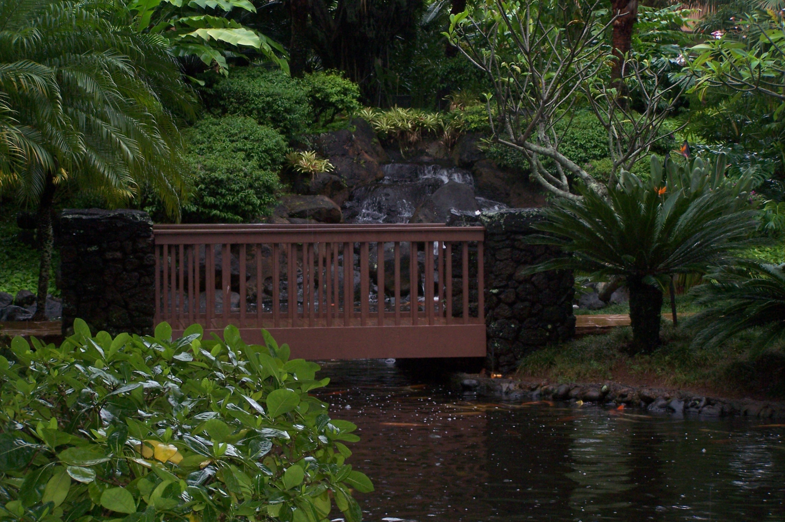 Tropical garden bridge photo