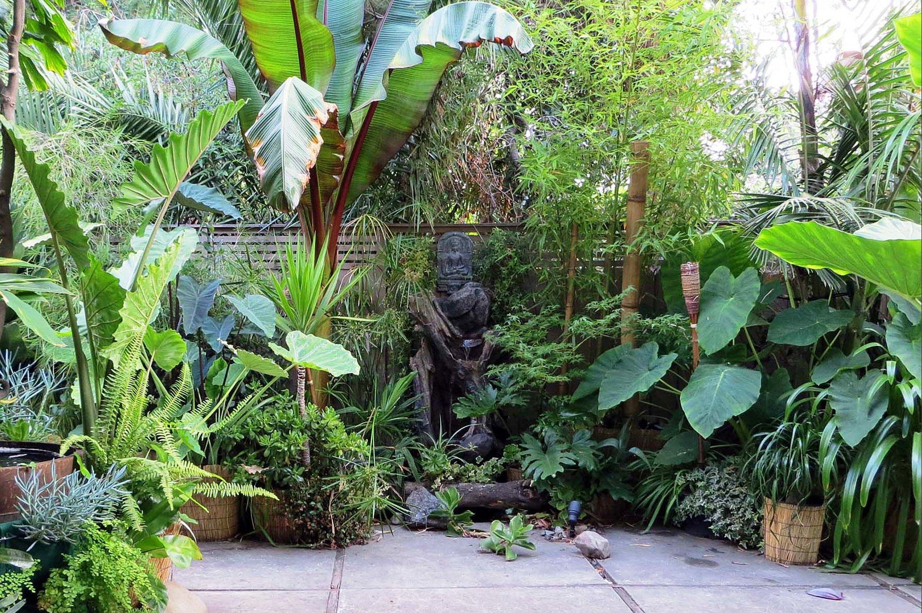 Fabulous Tropical Garden Have Adfeecabfeda on Uncategorized Design ...
