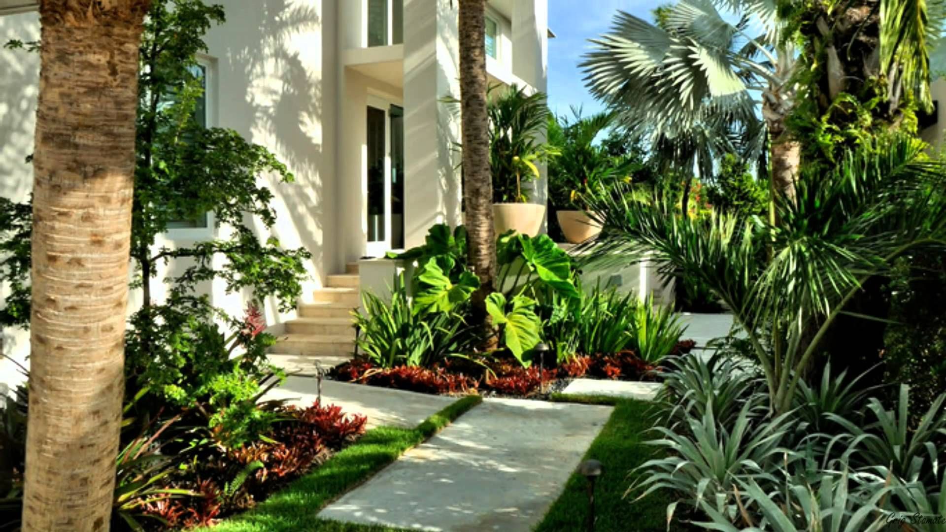 Beautiful Gardens with Tropical Plants | My Dream Down Slope ...