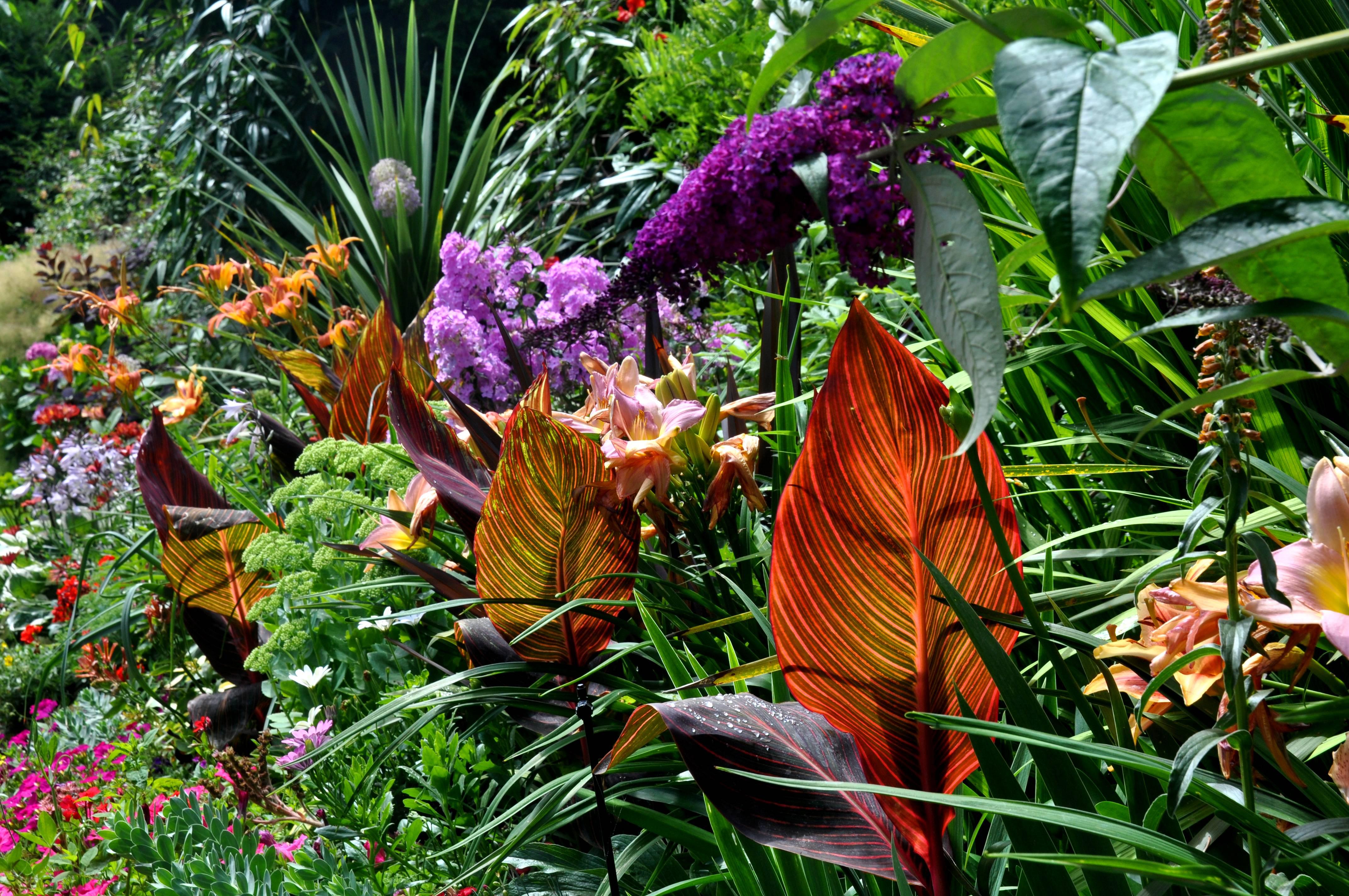 tropical garden flowers ideas - Decor Craze : Decor Craze