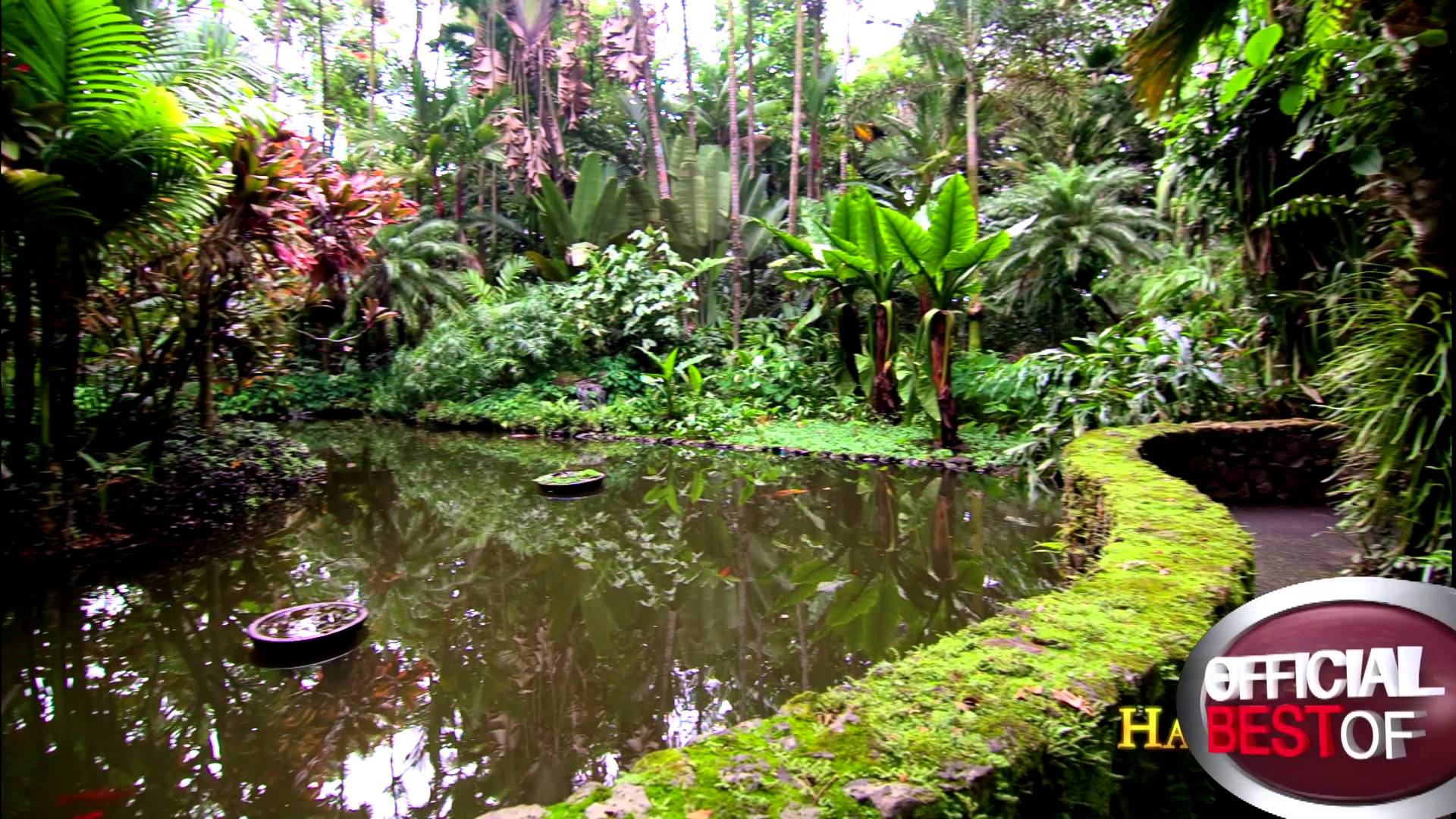 Hawaii Tropical Botanical Garden - Best Botanical Garden - Hawaii ...